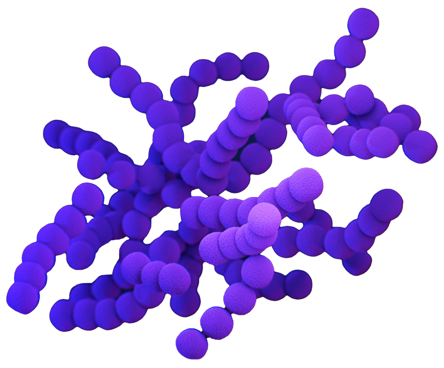 3D illustration of a DNA double helix with purple and blue nucleotides.