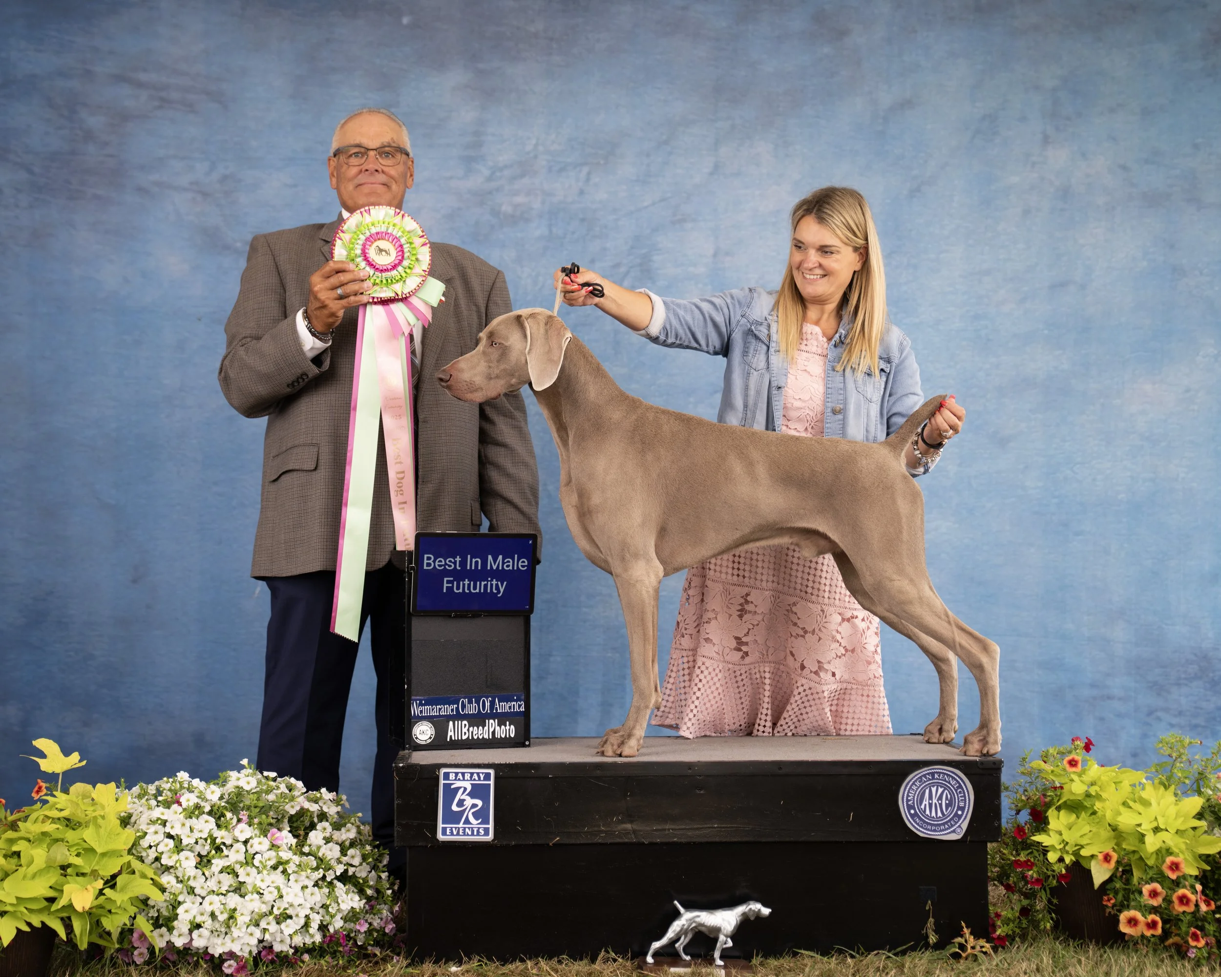 Weim11104667 copy.jpg