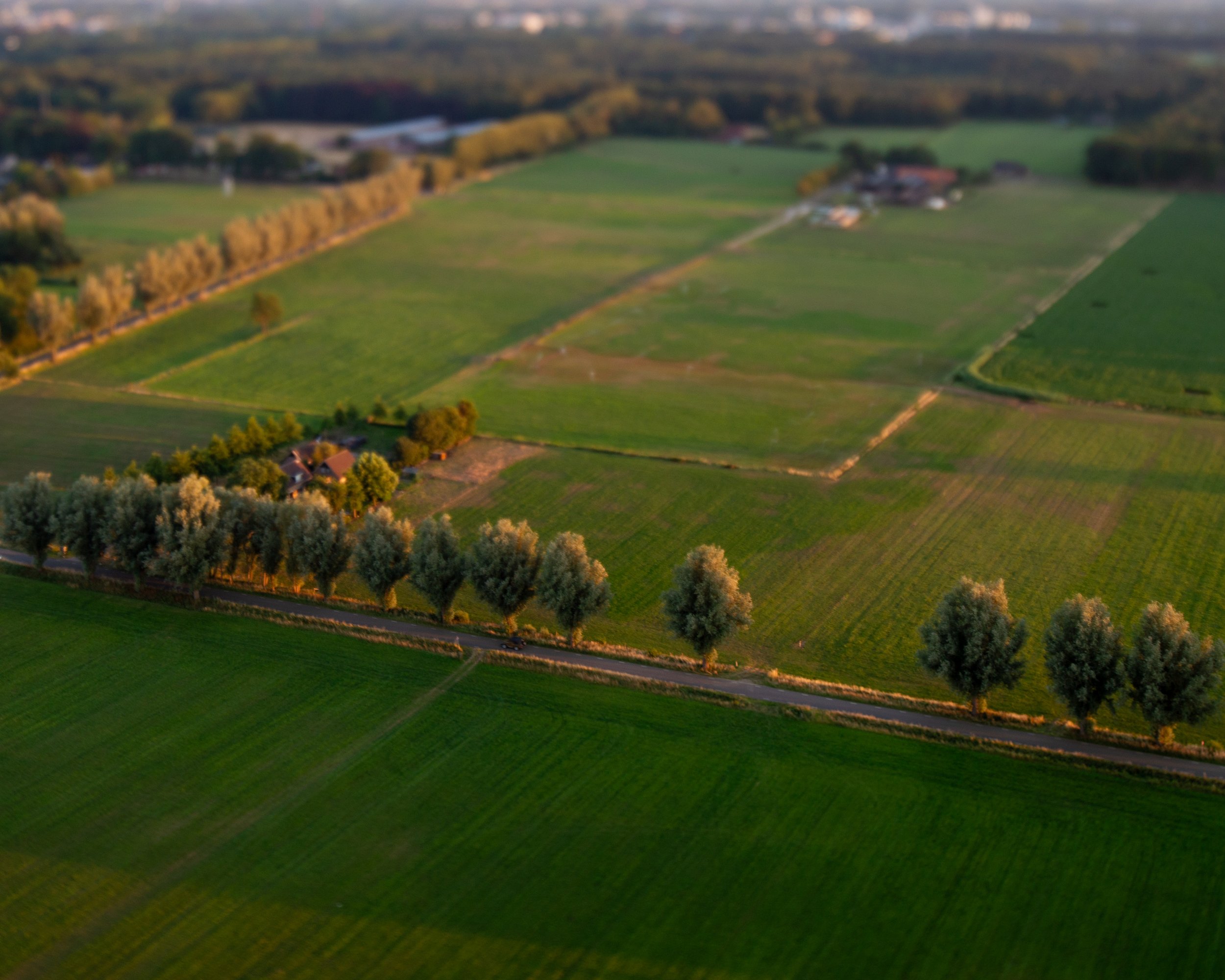 foto-15.jpg