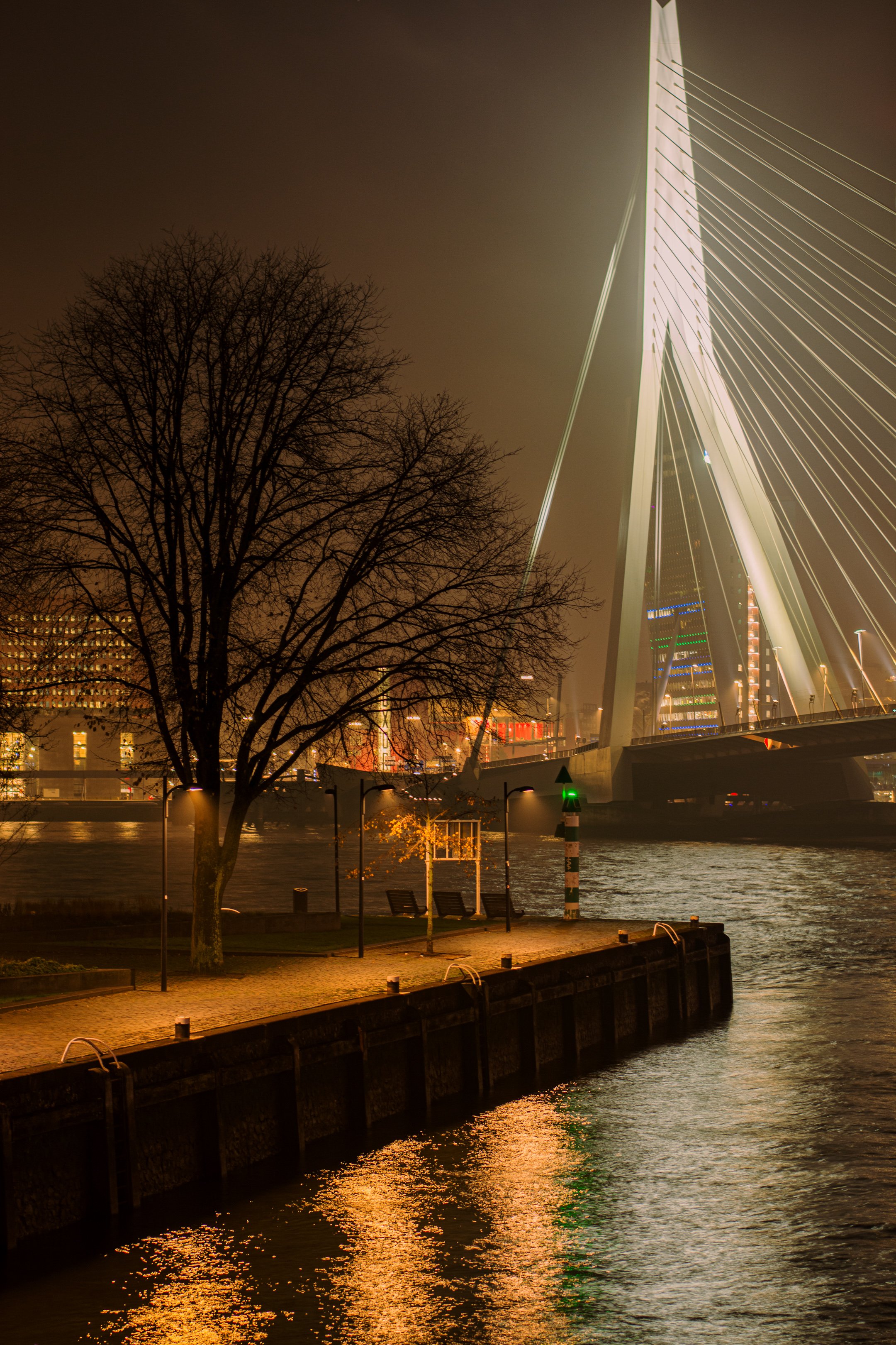 foto-5.jpg