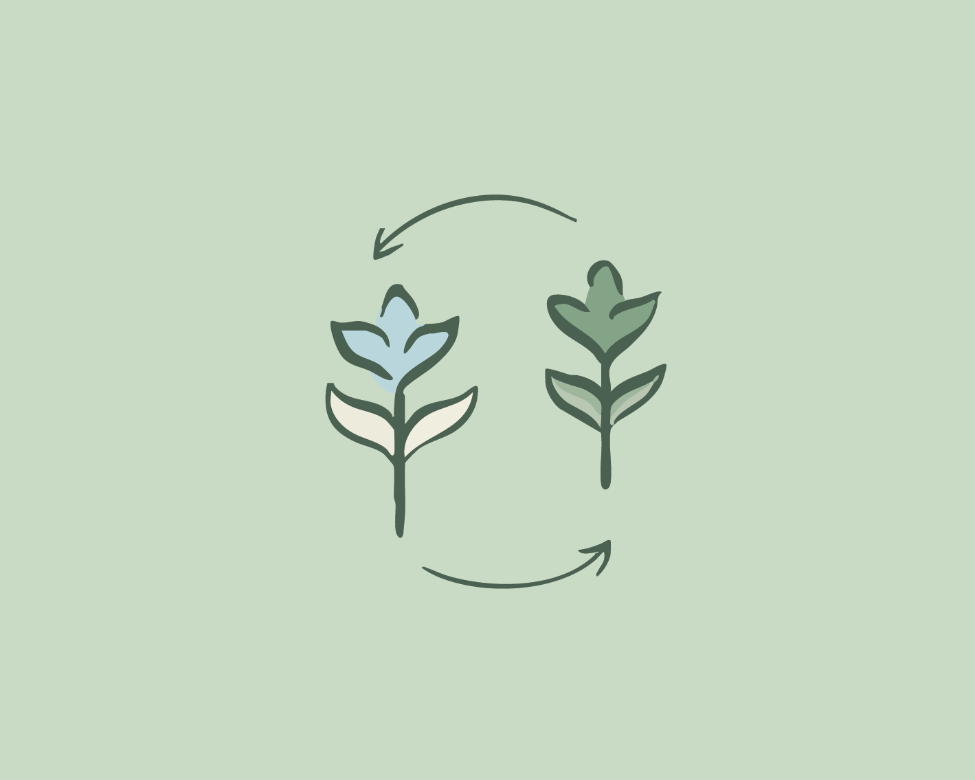 Emotion Coaching