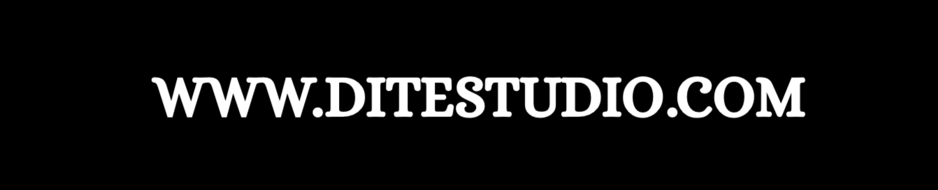 DITESTUDIO.COM