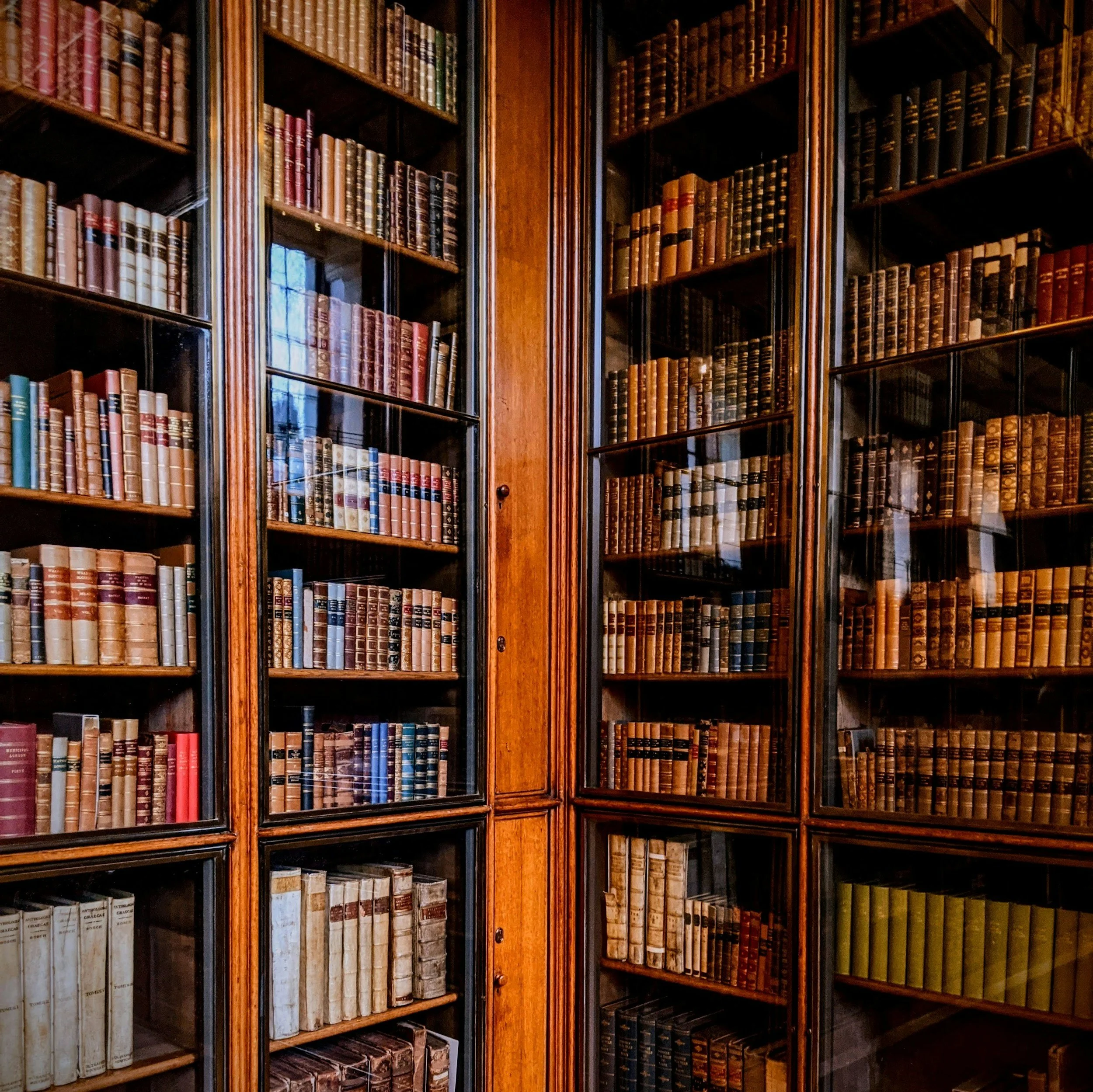 The warmth of wooden shelves and floor to ceiling books, a writer and reader's safe place.
