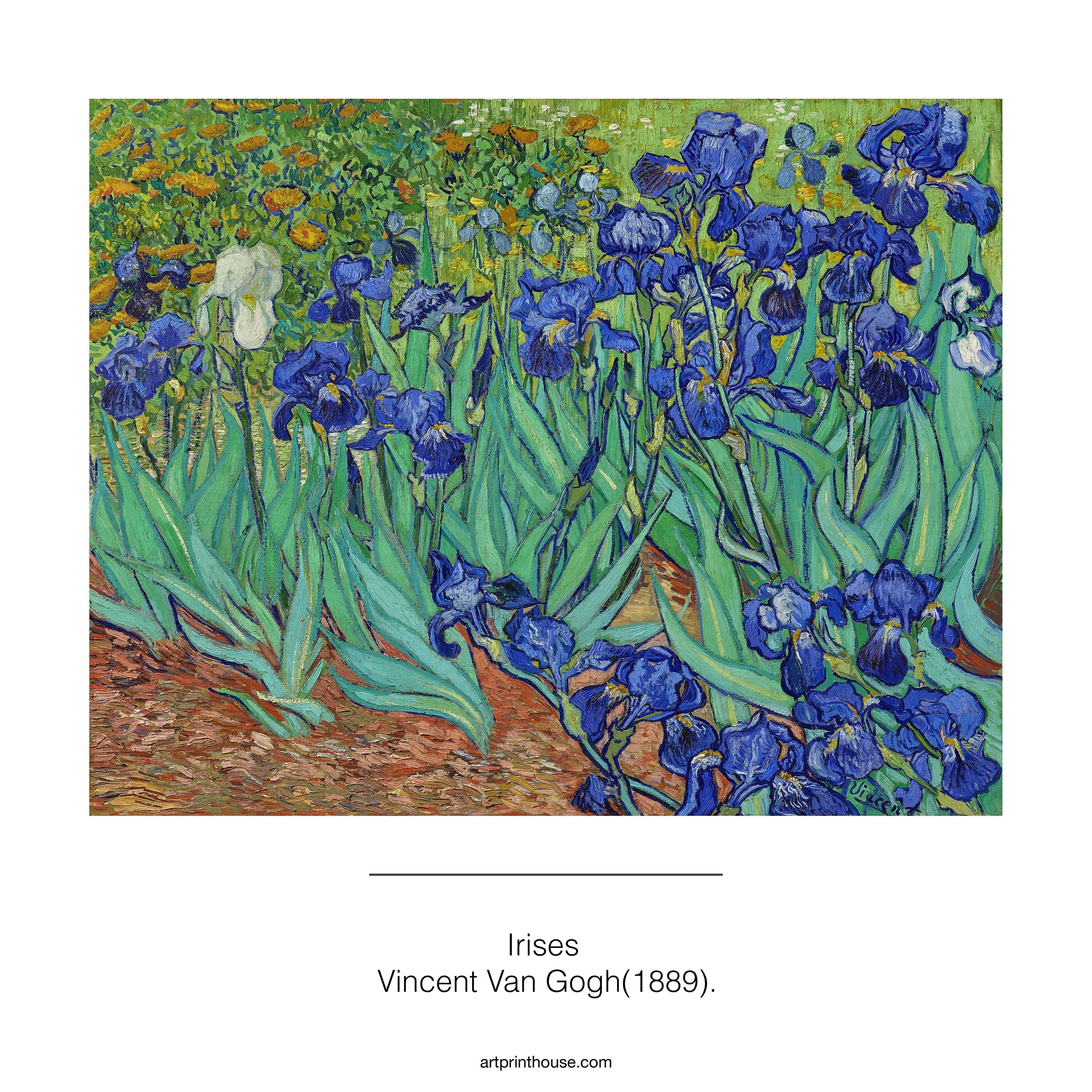 VanGogh_Irisesthumb.jpg
