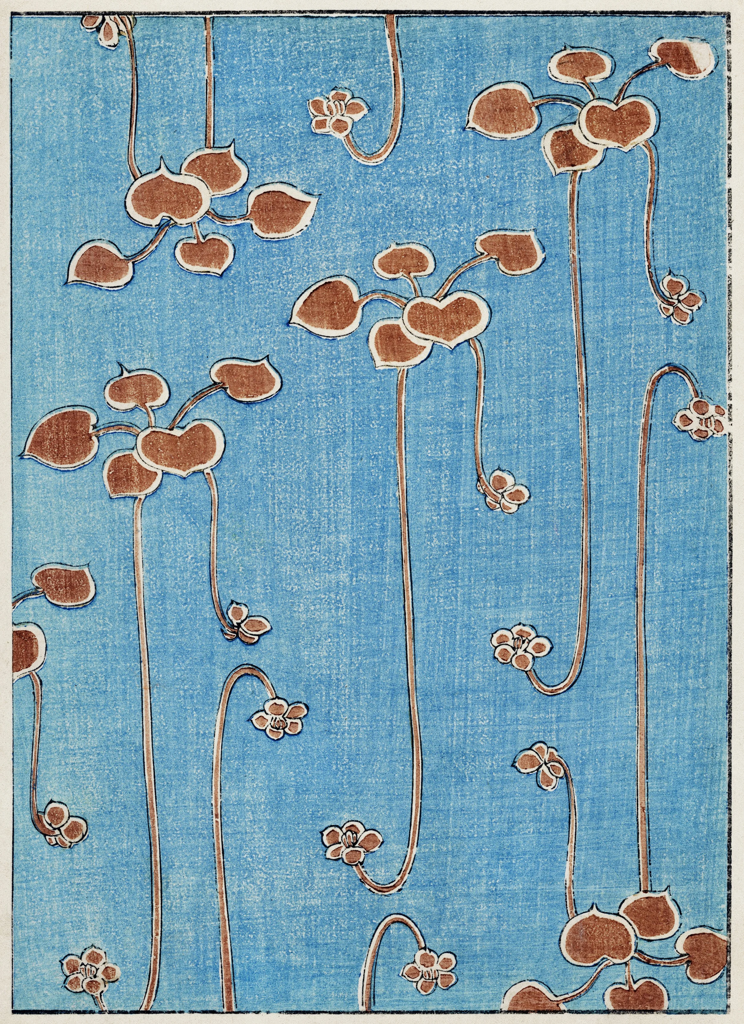 Vine illustration.jpg