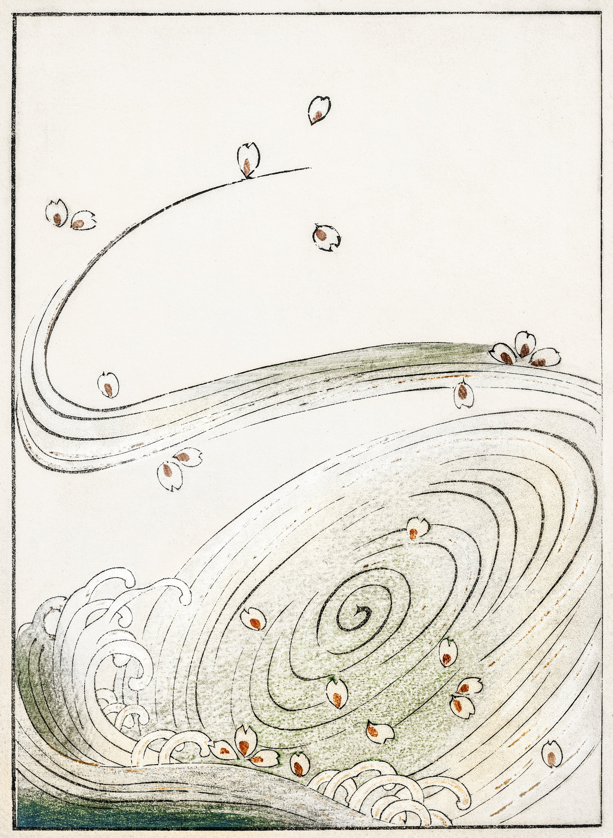 Wind and flower illustration.jpg