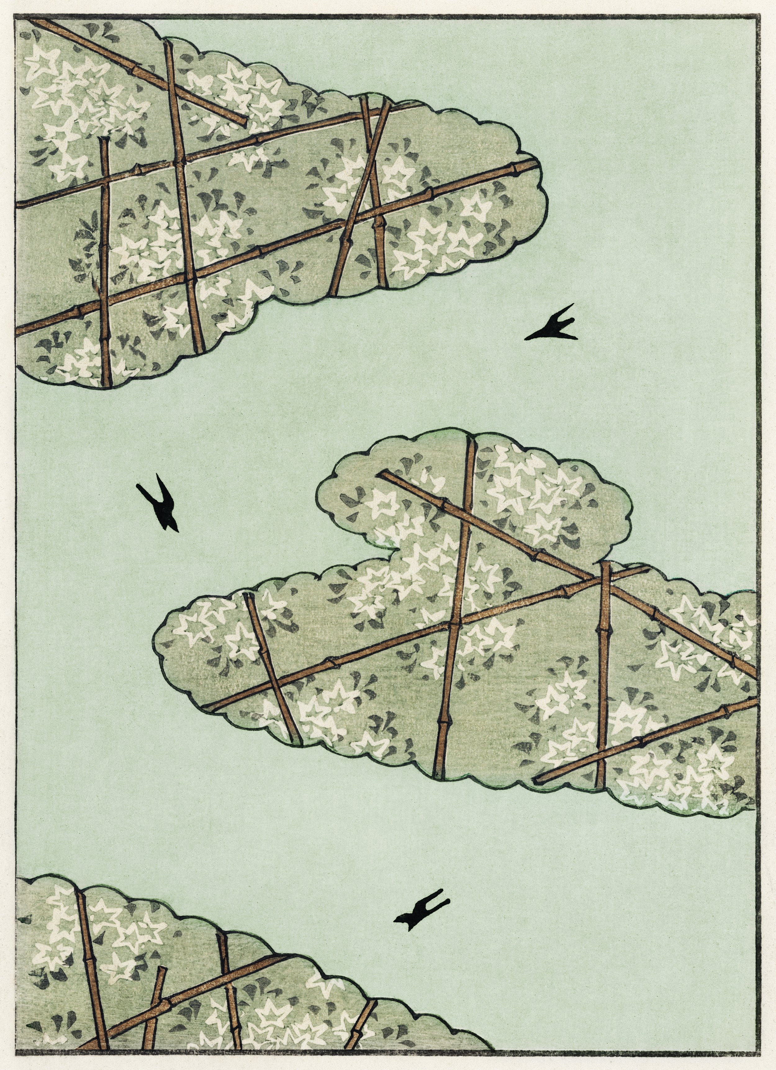 Sky illustration.jpg