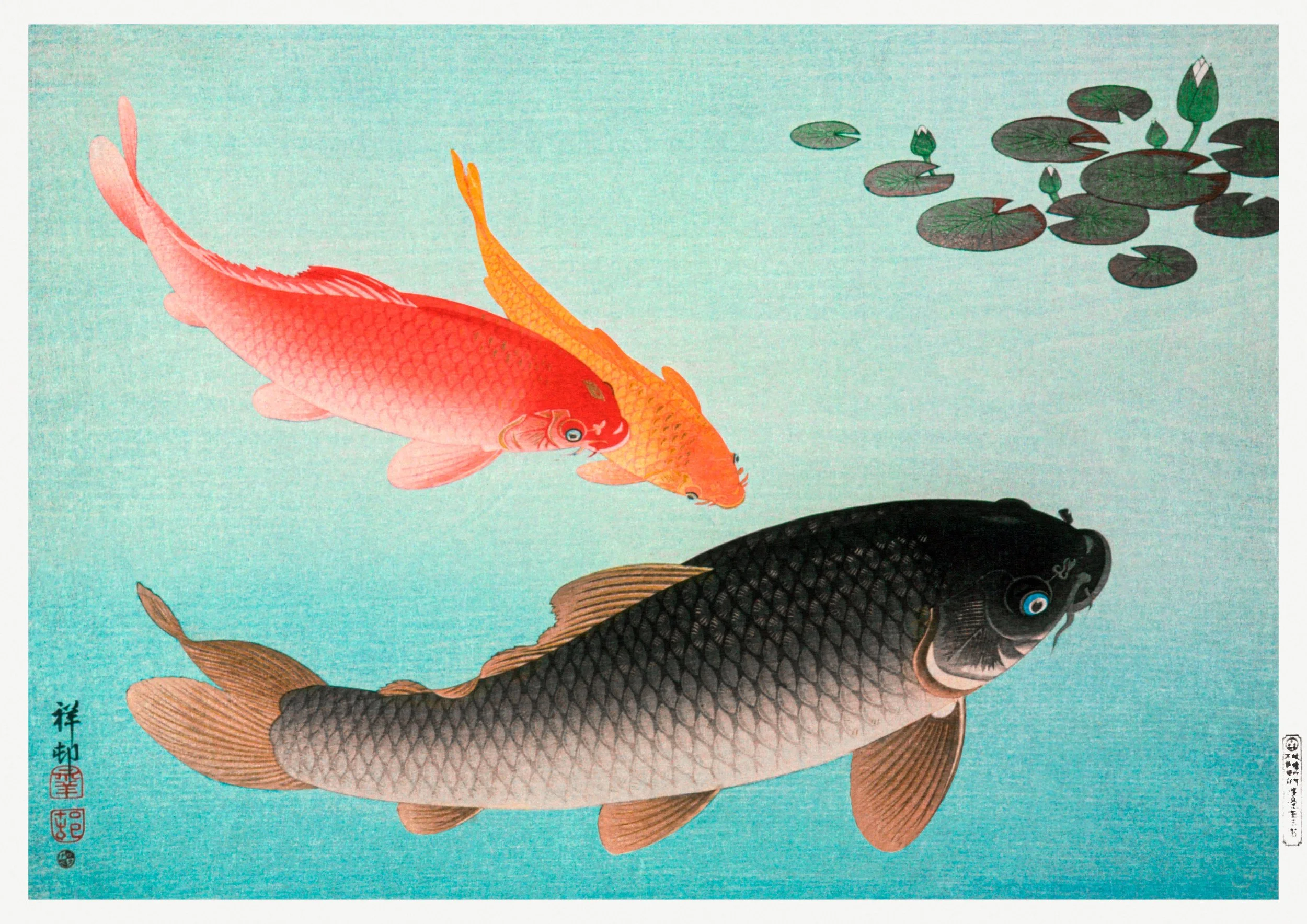 Common and Golden Carp (1935) by Ohara Koson.jpg