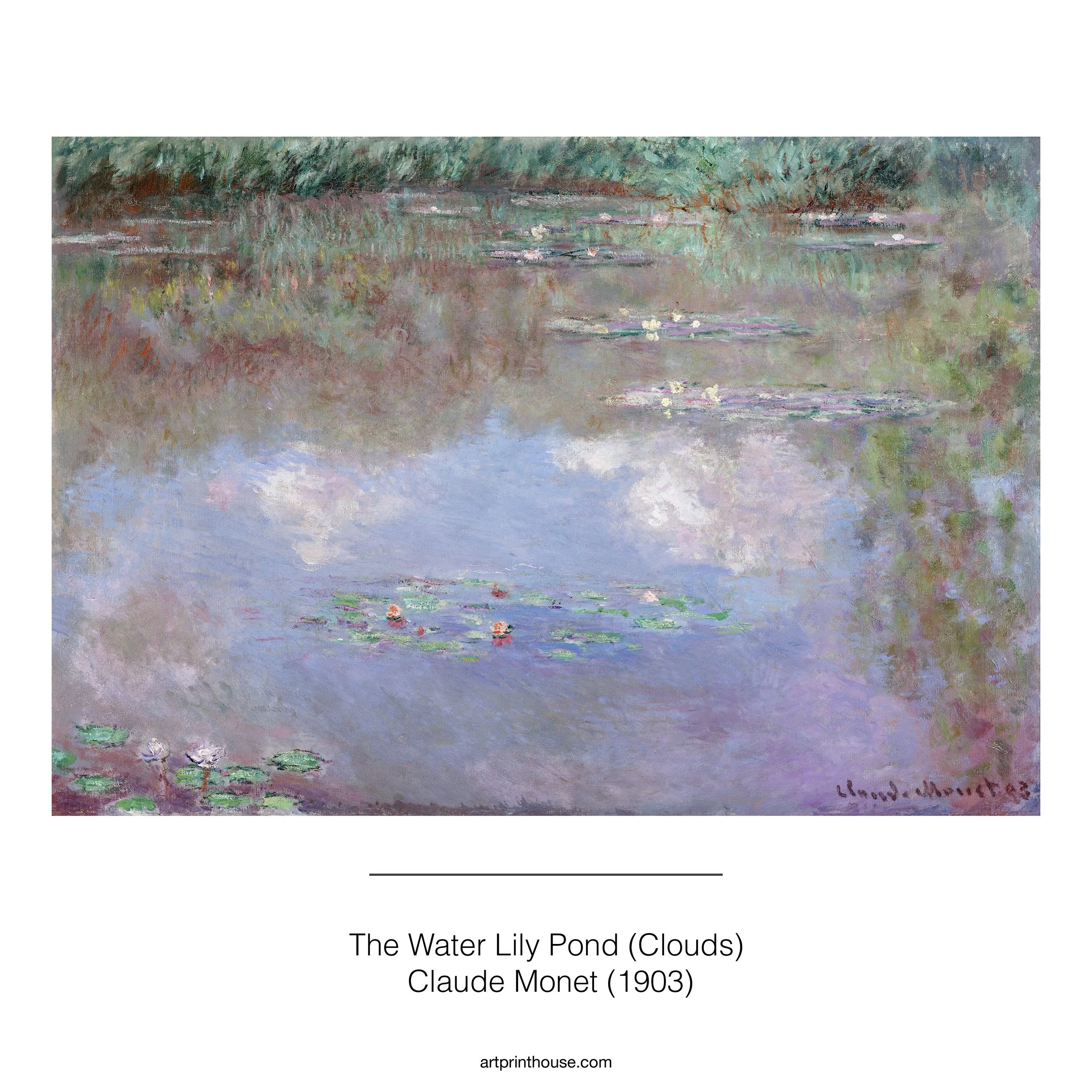 Monet_waterlilliescloud.jpg