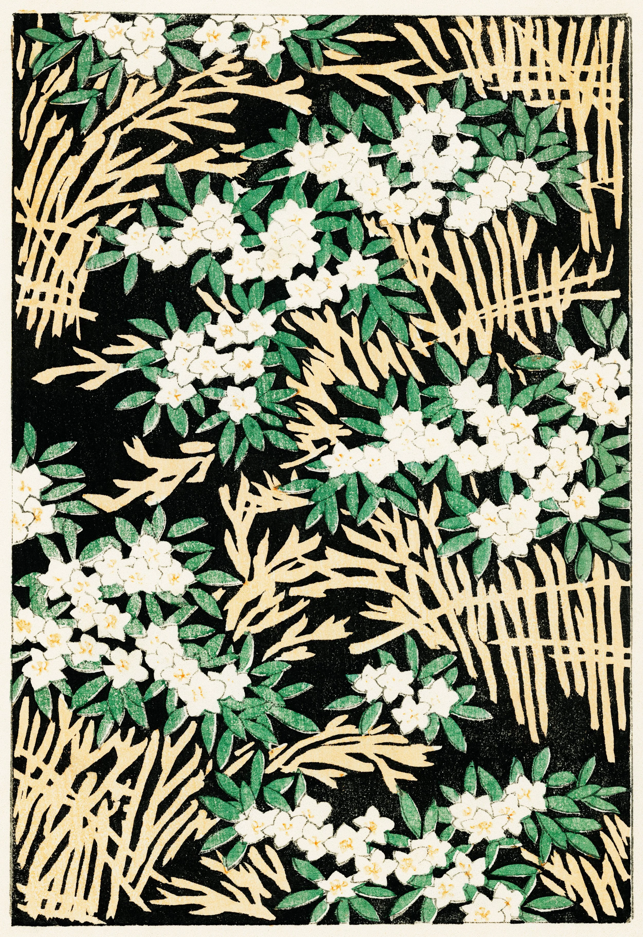 Forest illustration.jpg