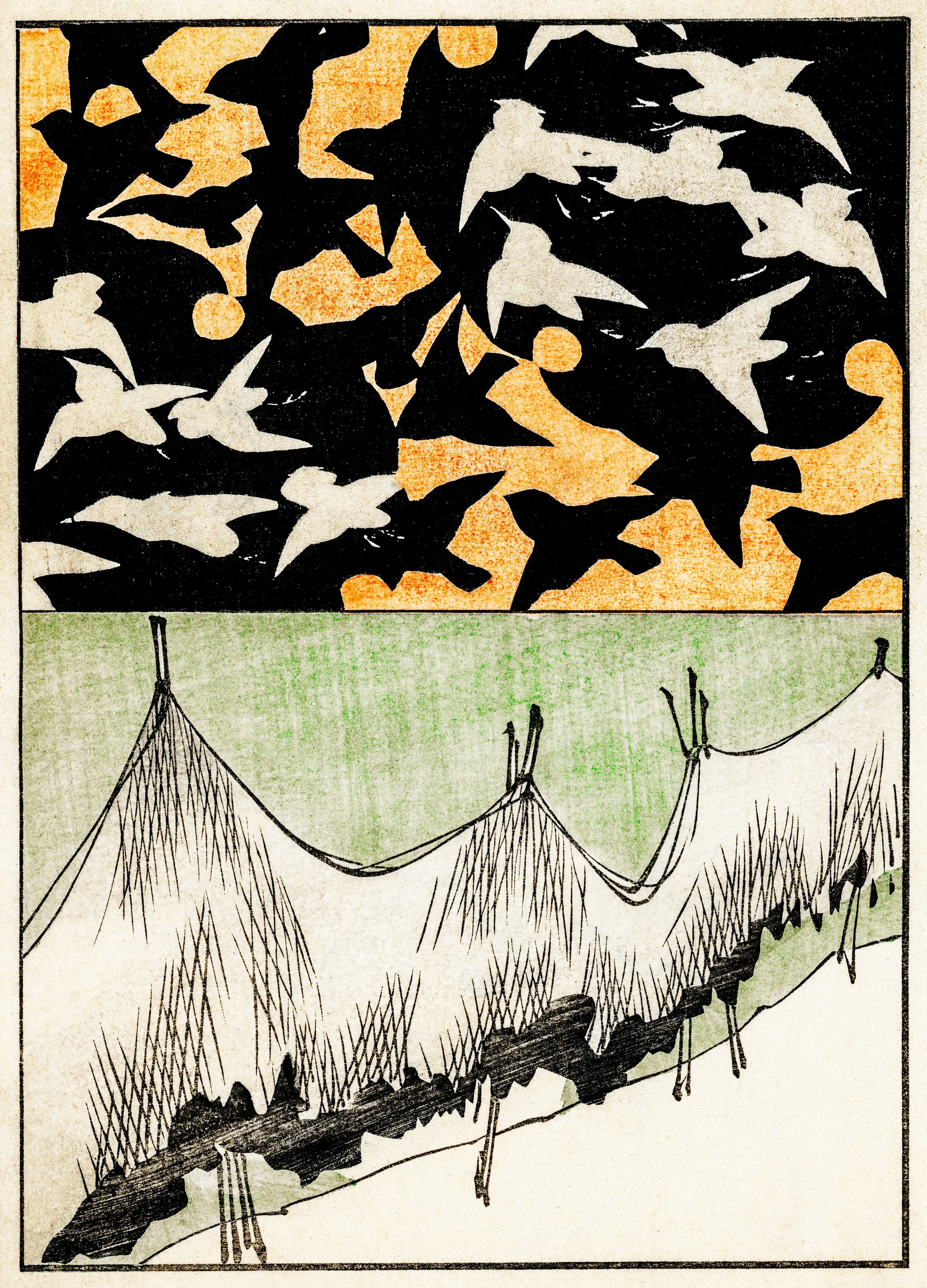 Forest life illustration.jpg