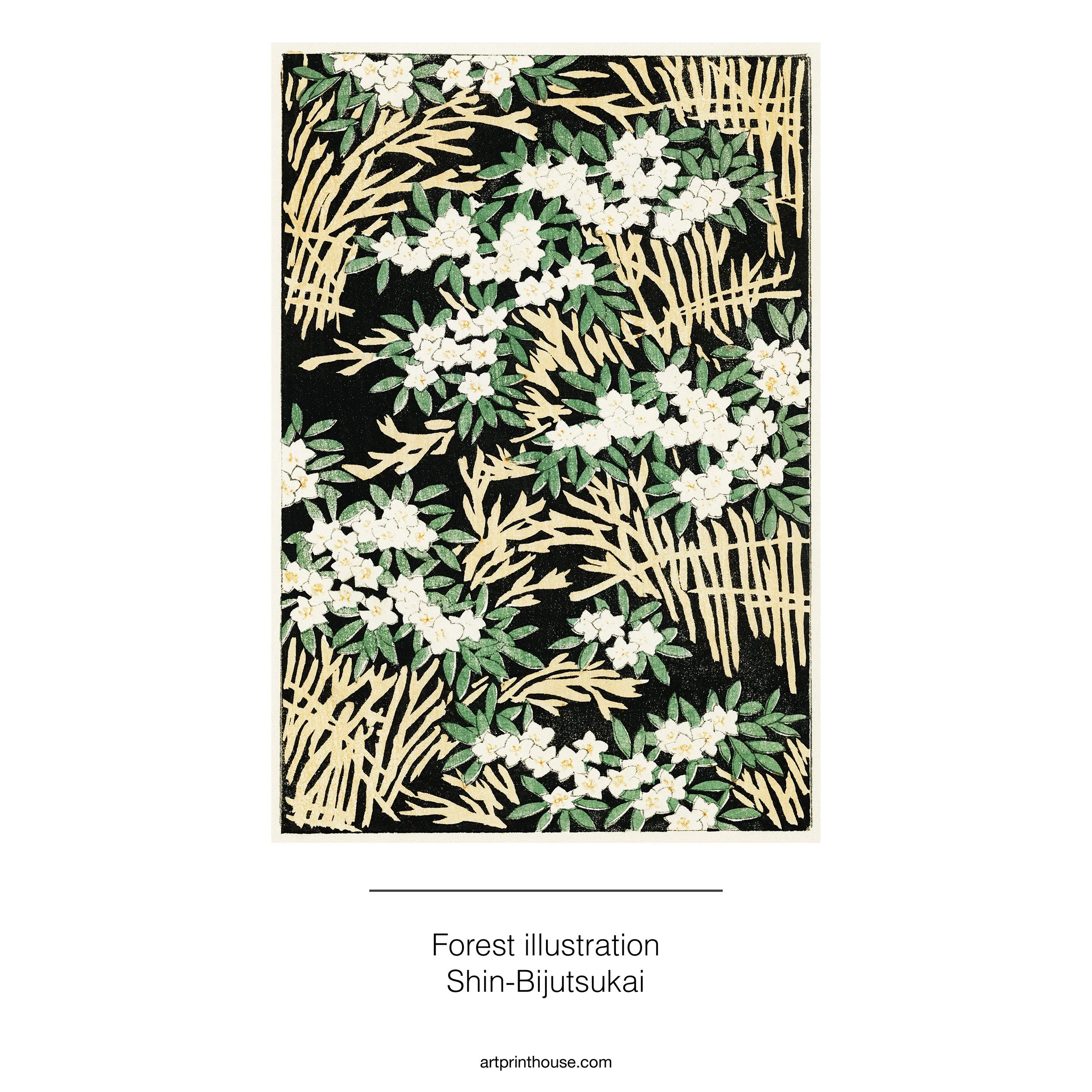 Shin_Forest illustration.jpg