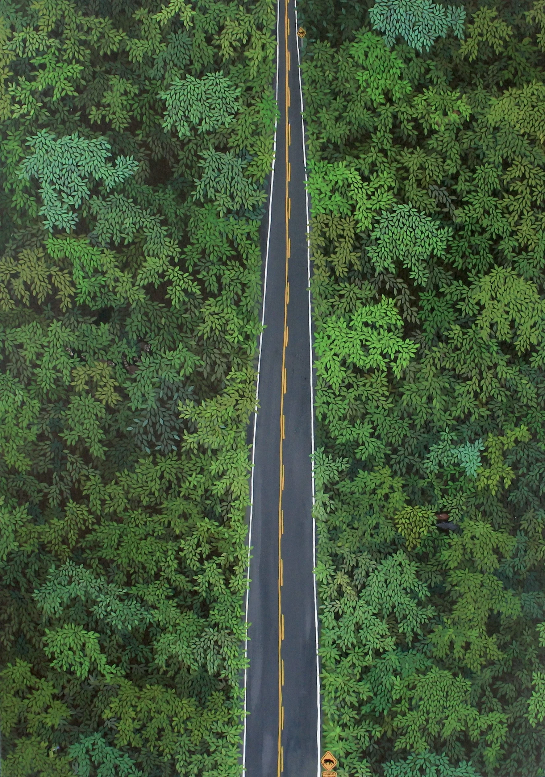 Carretera Interamericana Final.JPG