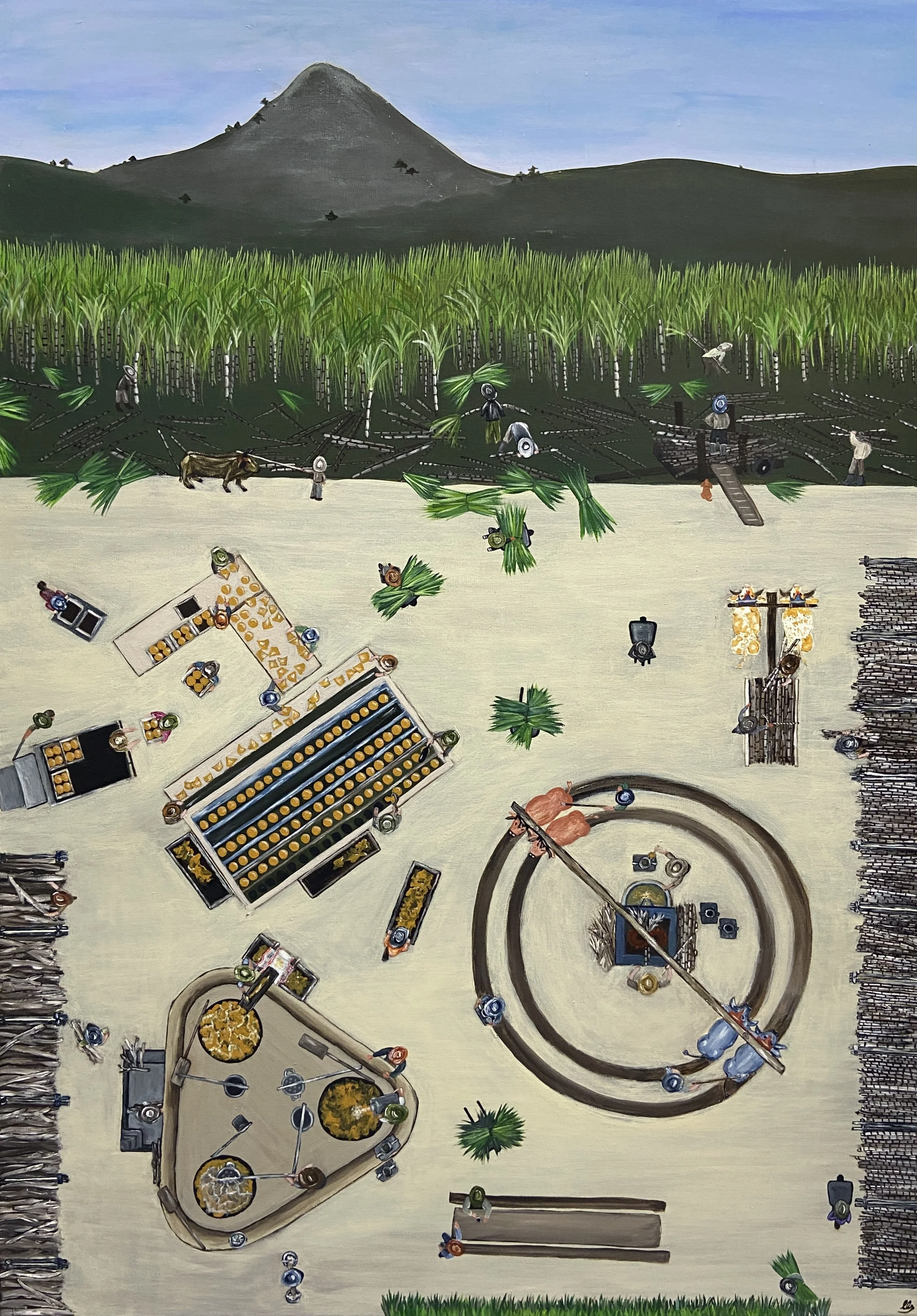 Proceso de la caña Final.jpg