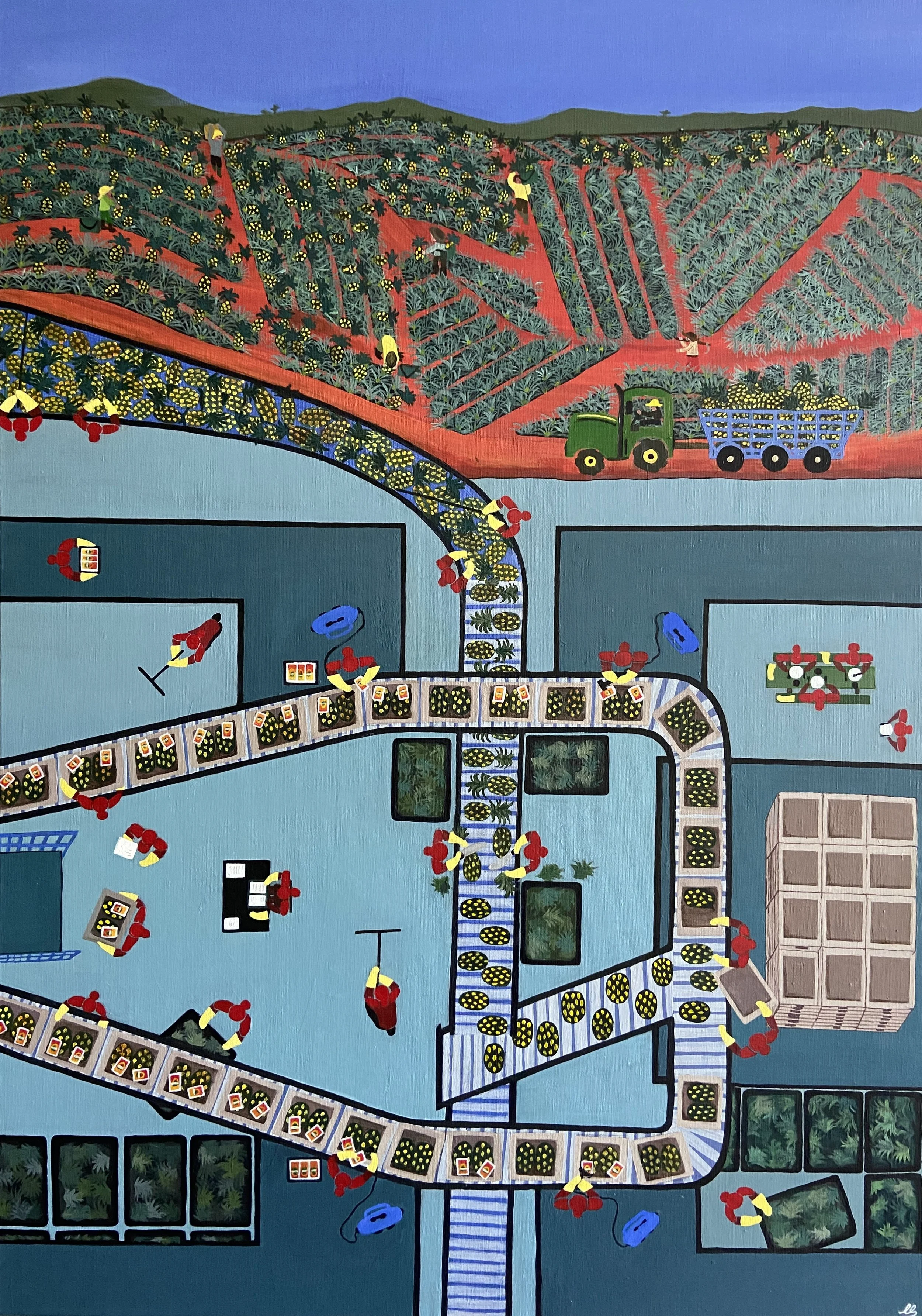 Proceso de la Piña final.jpg