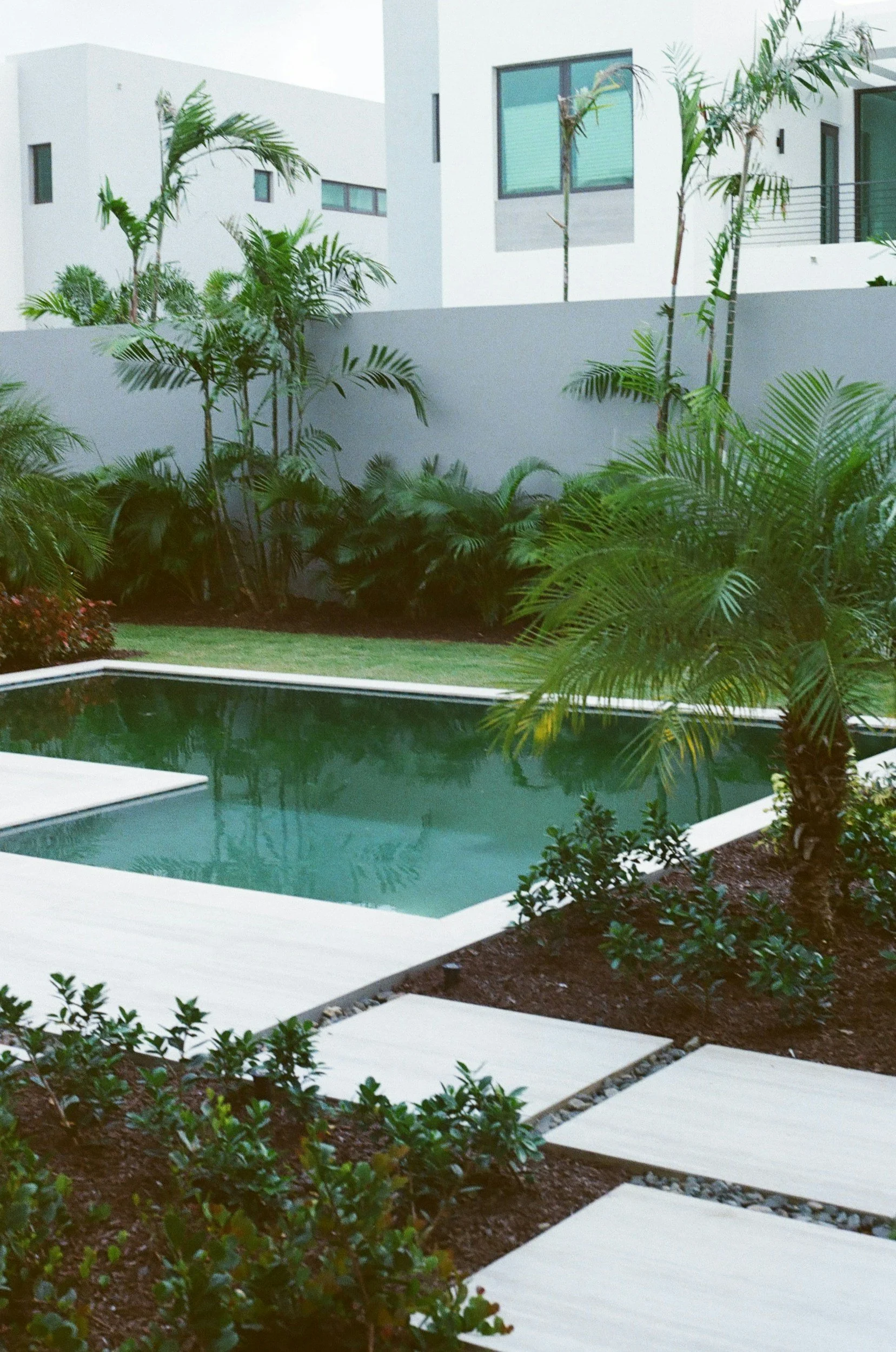 Modern residential backyard with a small rectangular swimming pool, surrounded by white stone tiles, lush green tropical plants, and a white contemporary building with large windows in the background.