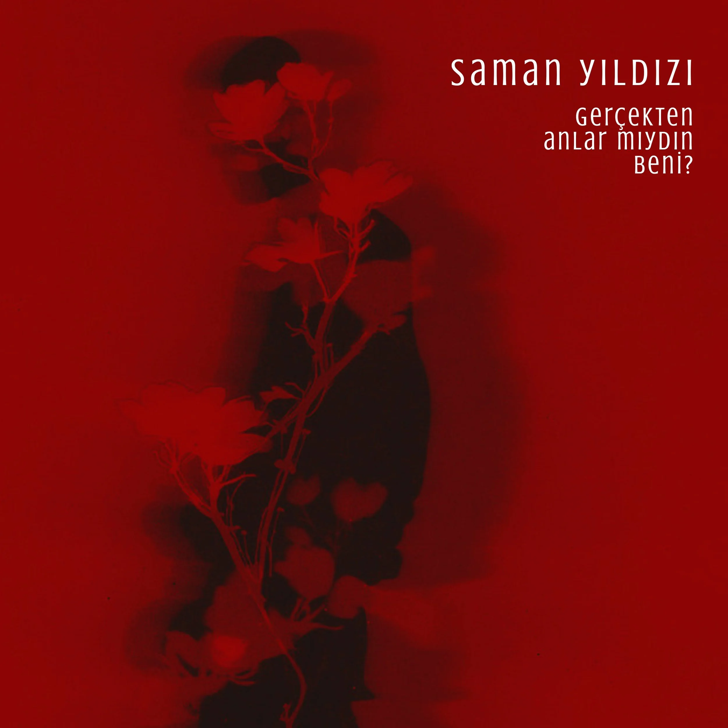 SamanYildizi_GercektenAnlarMiydinBeni?_CoverArt.jpg