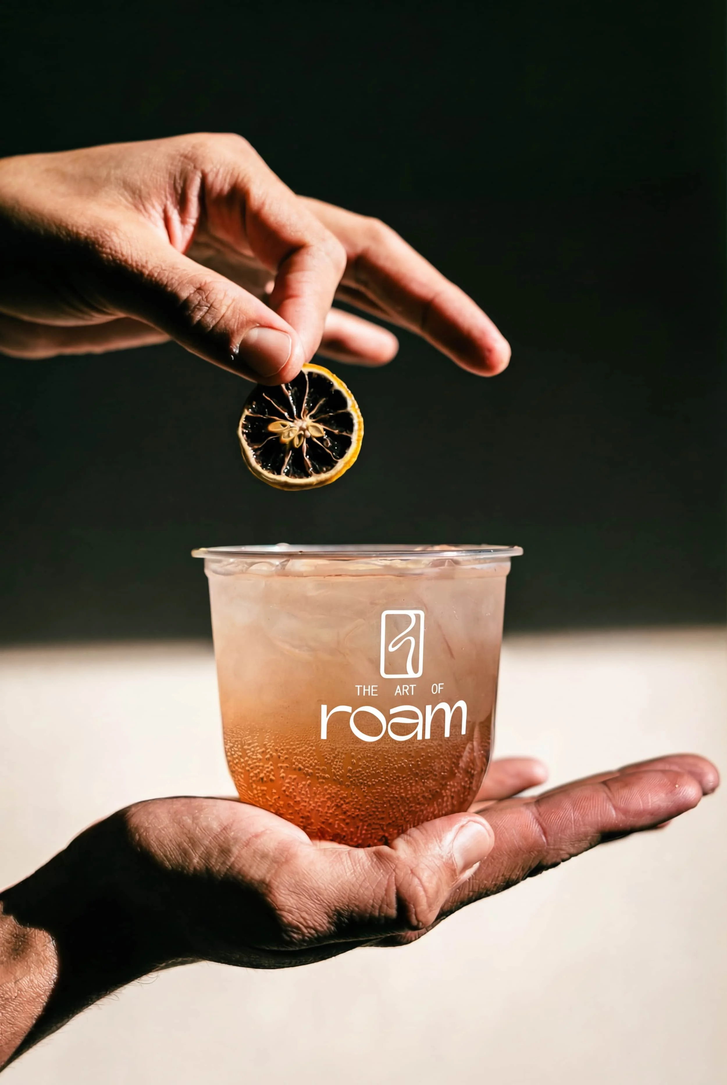 The Art of Roam botanical sparkling beverage with dried citrus garnish for event catering in Los Angeles