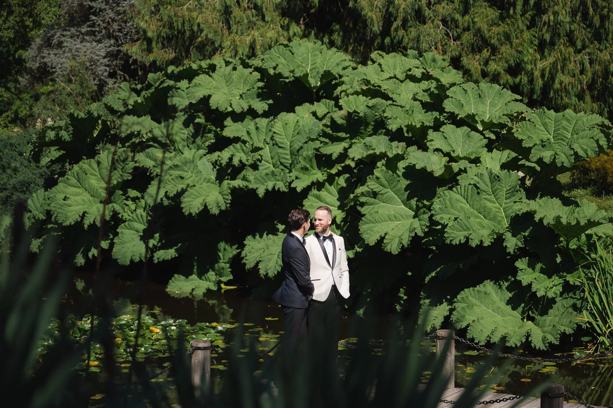 KEVINJAMES_08232025_TAMARACHANG (2).jpg