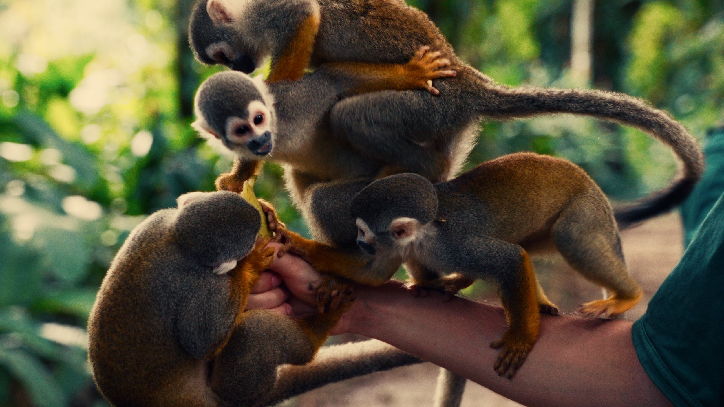 Letícia, Colômbia.