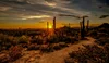 Desert Horizon Hospice photo 2
