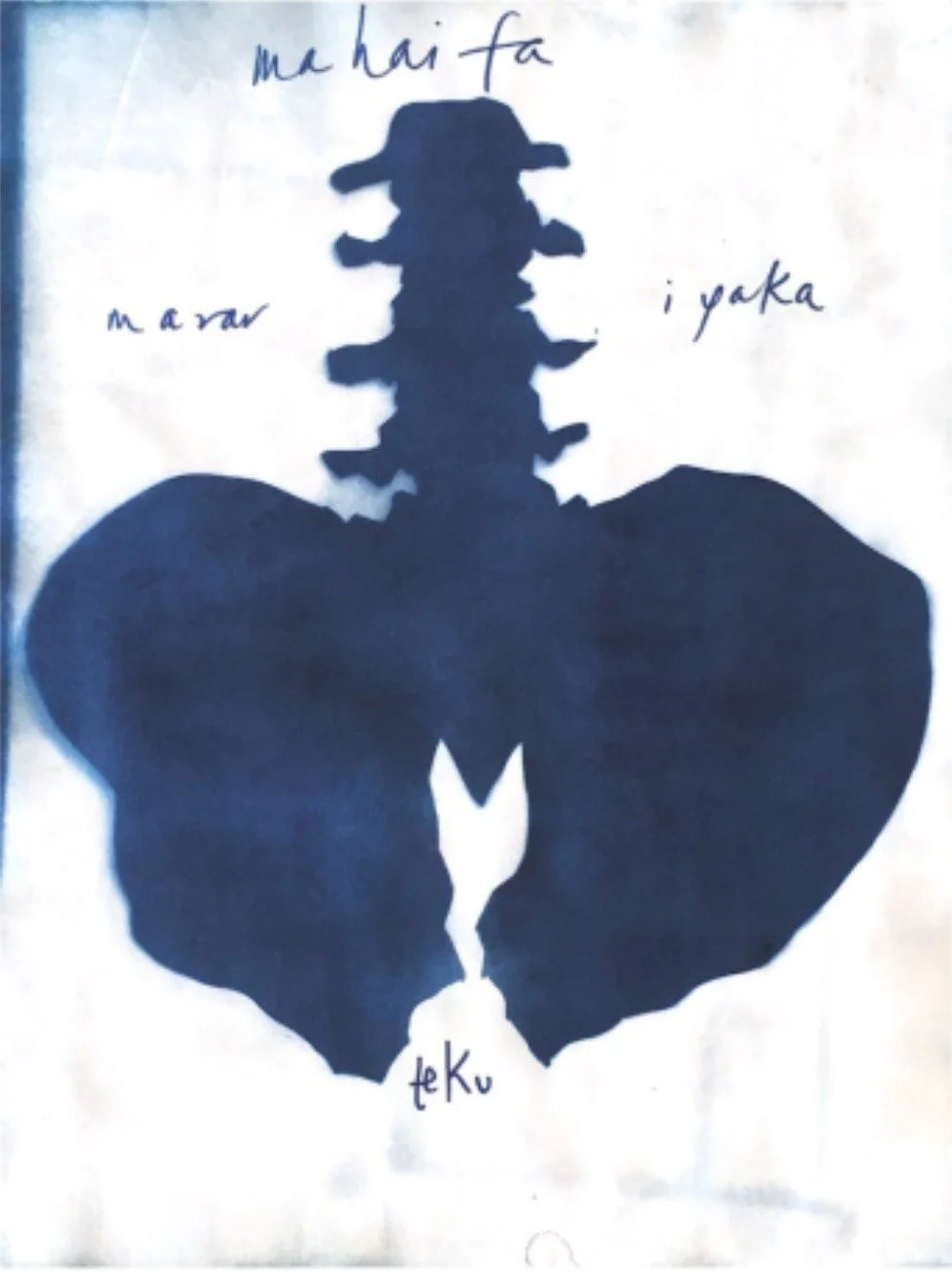 Made through the light-sensitive alchemy of cyanotype - a process that depends on water itself - these works explore water as source: womb, origin, and the quiet force that sustains all life. 

The medium becomes the message, each print born from the