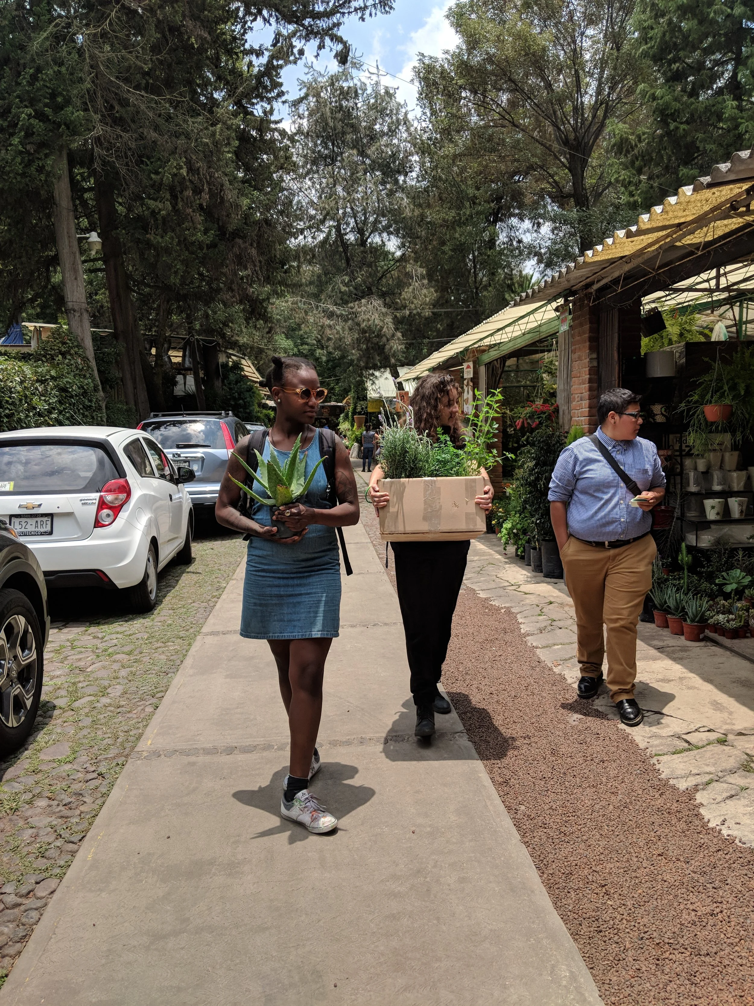 Ciudad Retoño1_2018.jpg