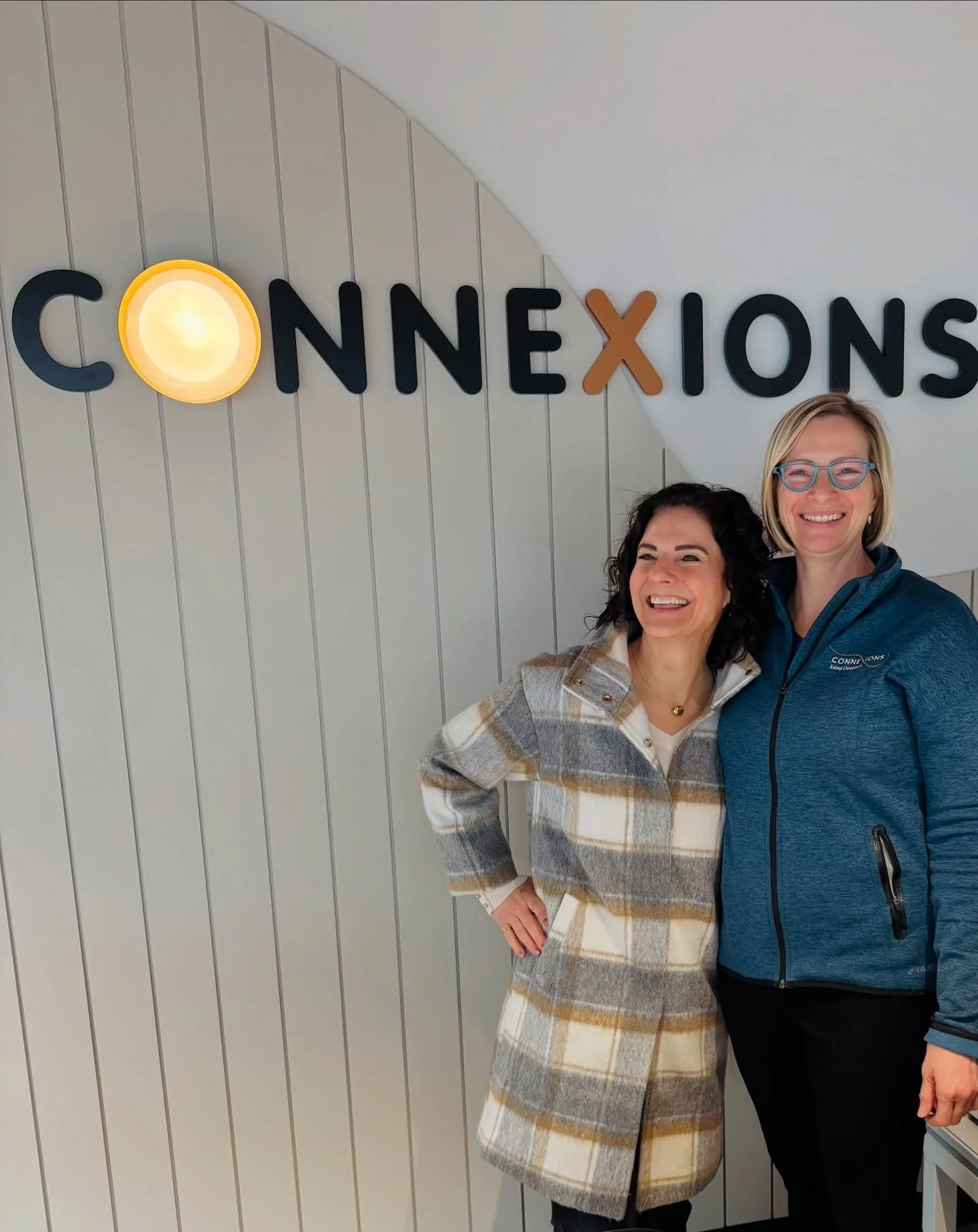 I can&rsquo;t say enough wonderful things about my client, Dr. Jennifer Webster. The work she does as an animal chiropractor is truly exceptional. It was such an honor to design her new clinic. Here we are celebrating her grand opening - more project