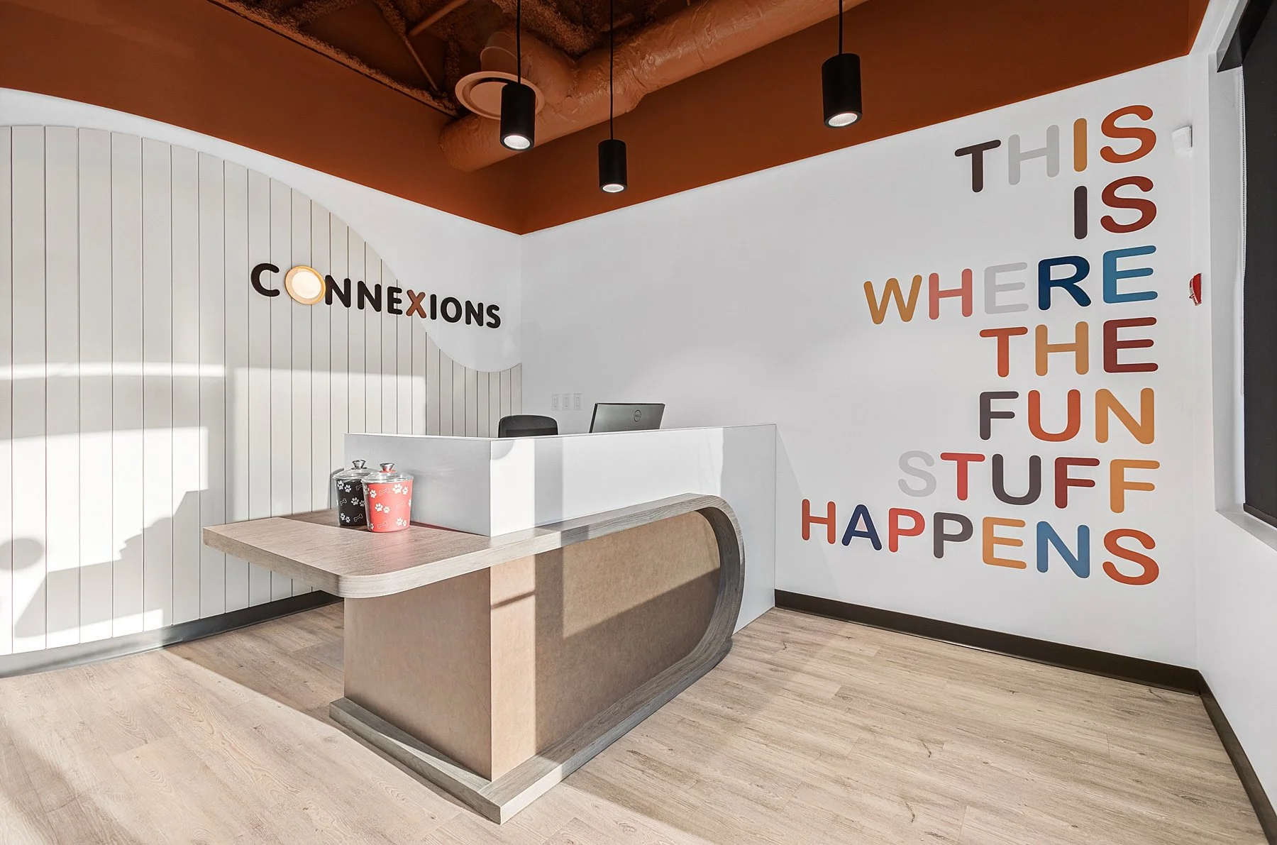 Connexions Animal Chiropractic Clinic