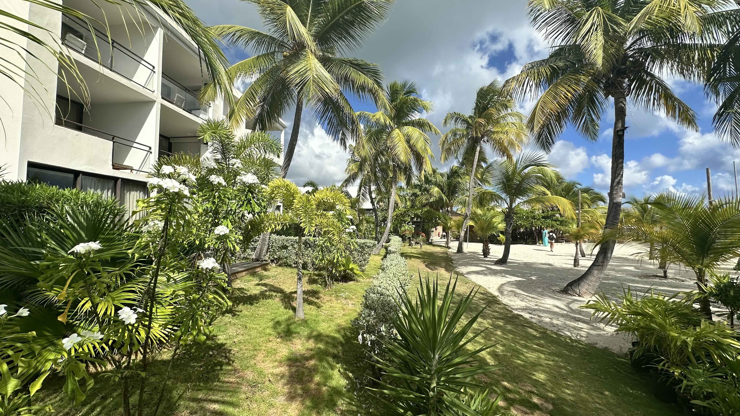 a1.0 IMG_7698 lorez.jpg