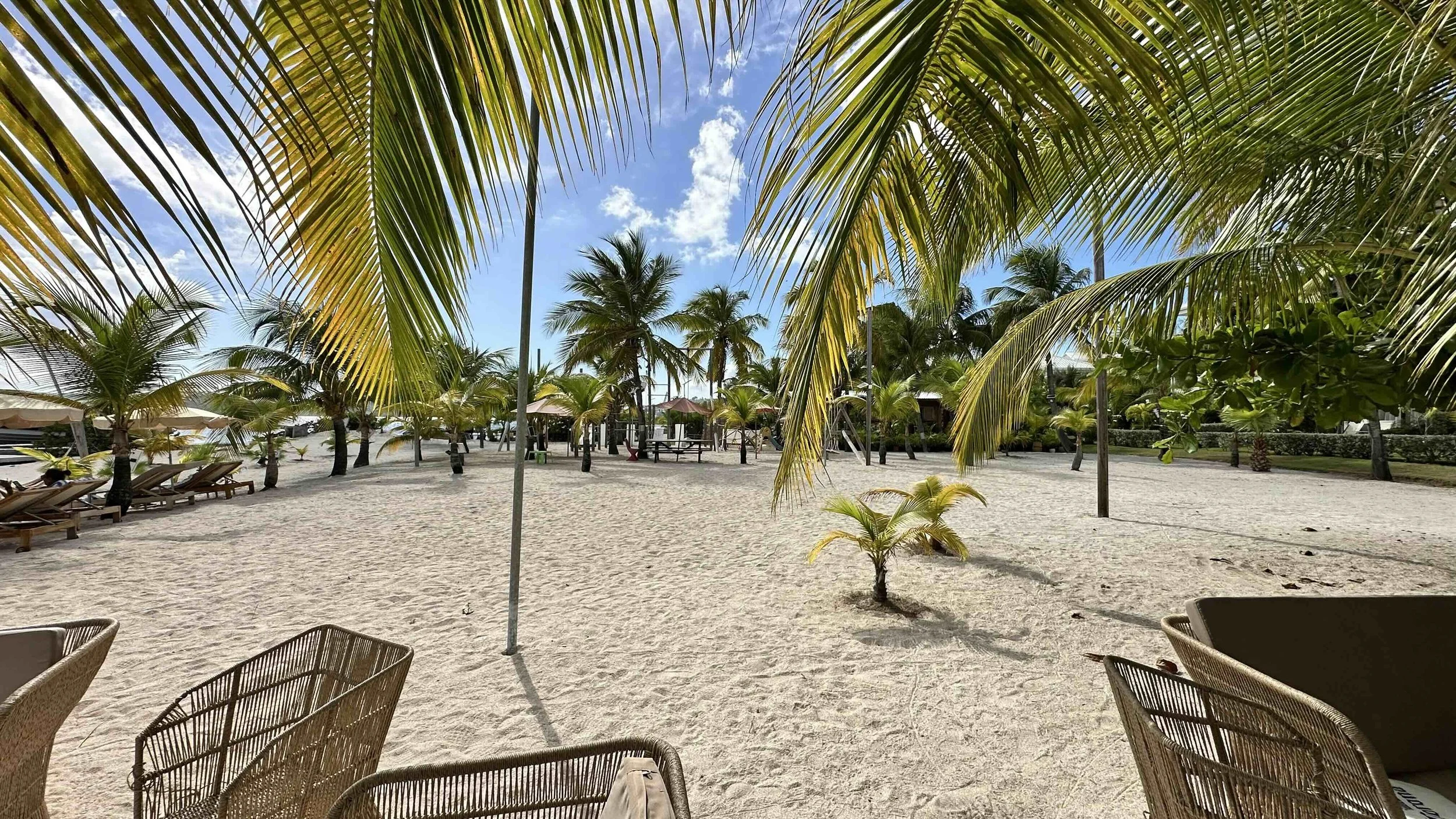 a1.3 - IMG_7702 lorez.jpg