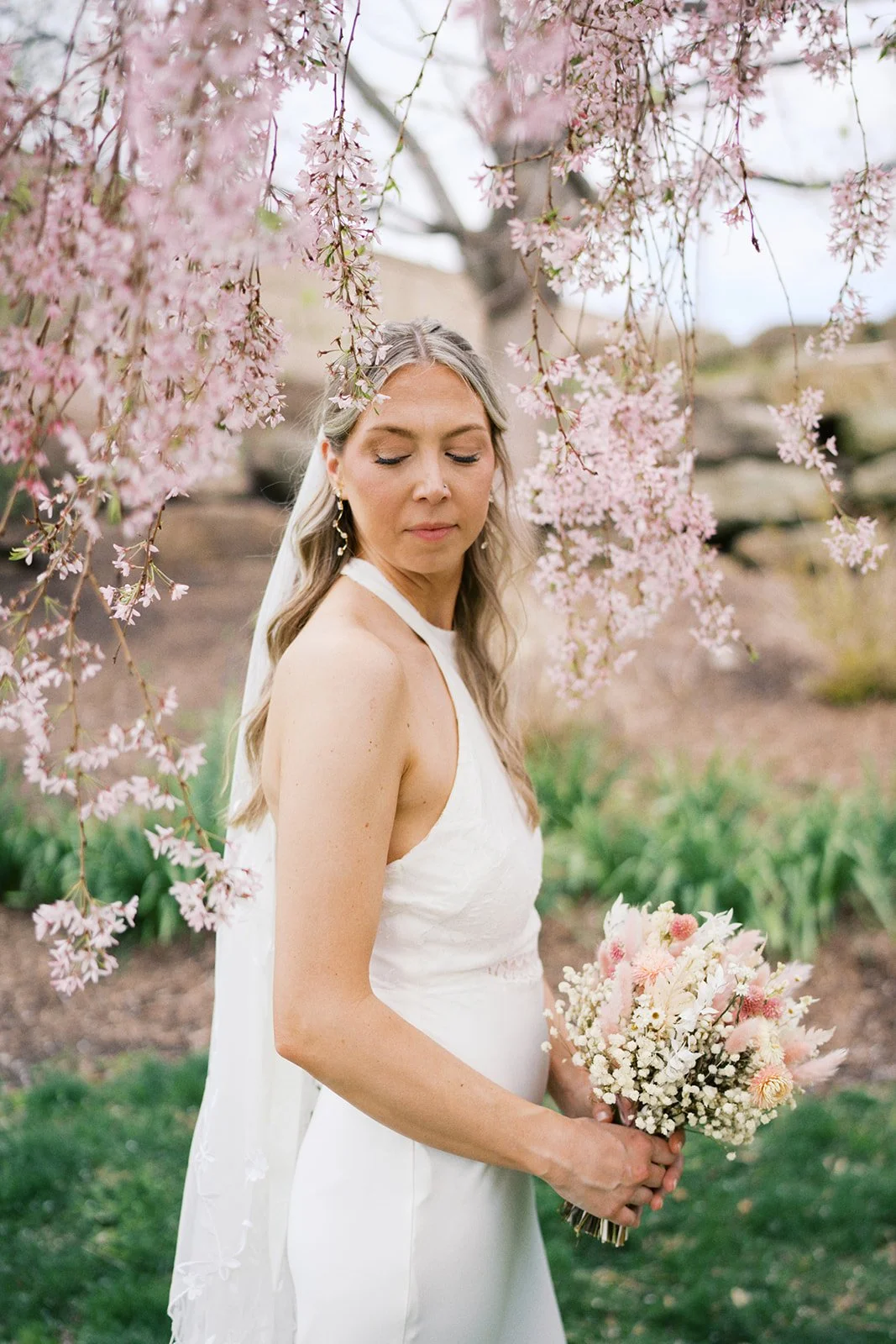 bride beneath cherry blossoms in philadelphia usa