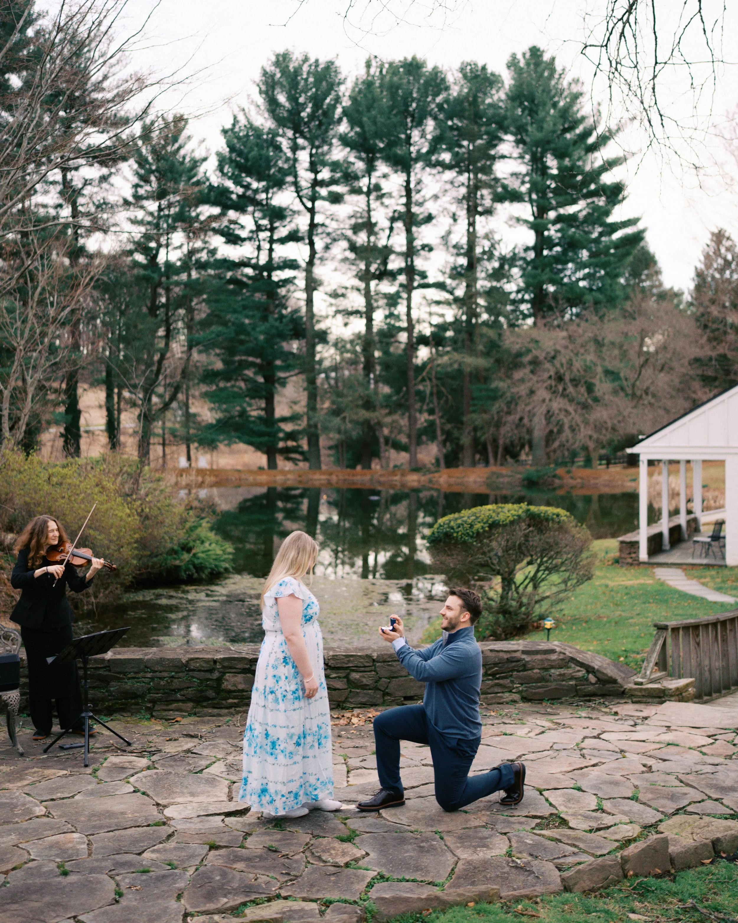 A man proposes marriage to a woman on a stone patio by a pond, with a violinist playing nearby, during daytime.
