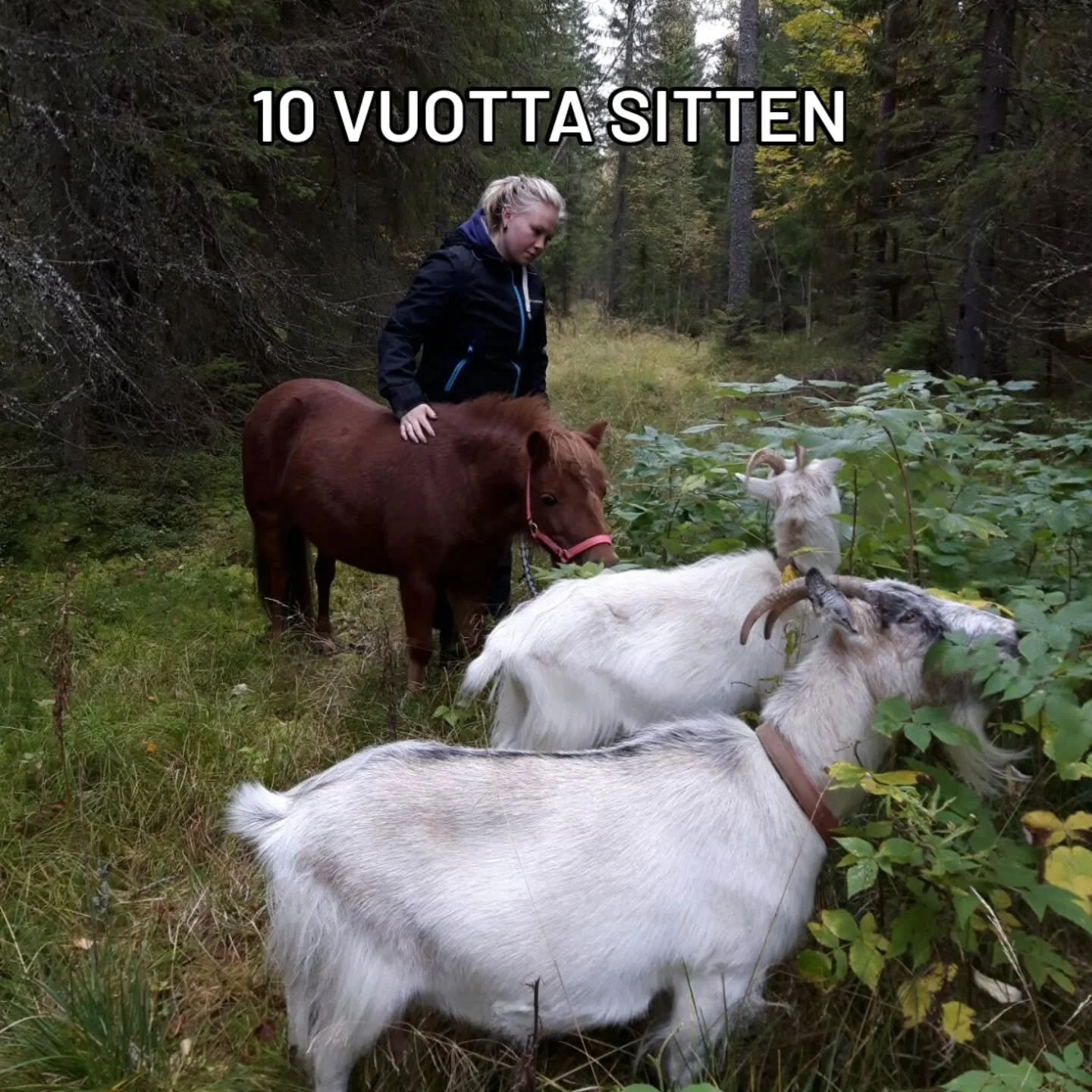 10 vuotta sitten 💚
Hurjaa ajatella mihin tuolta on tultu, ja miten paljon yheen vuoteen ehti mahtuakin muistoja ja koettavaa. Huomaan my&ouml;s, ett&auml; n&ouml;iden kuvien my&ouml;t&auml; tuli kerrottua monts puolta itsess&auml;, jotka ei ehk&auml