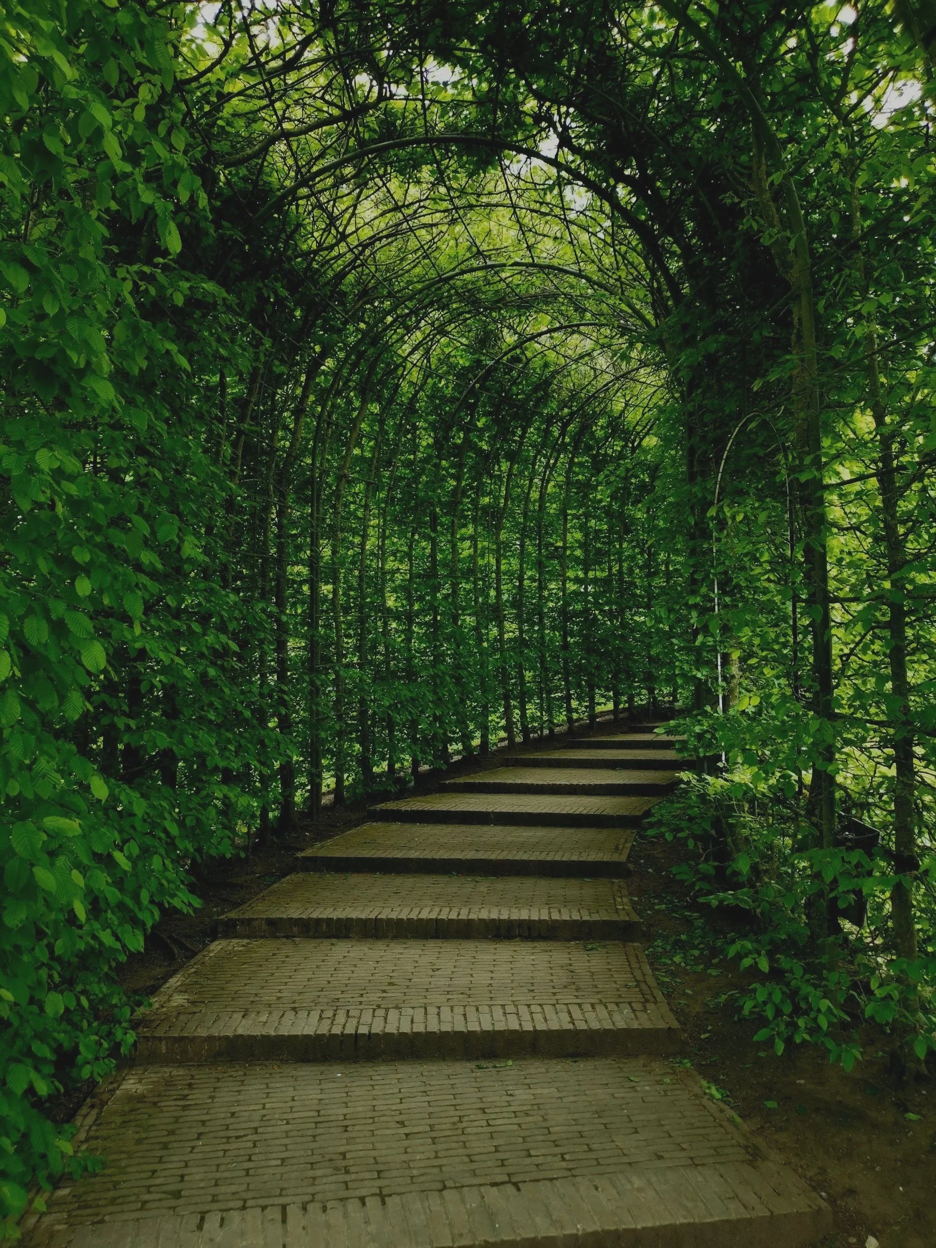 A winding brick pathway through a green, leafy archway tunnel formed by trees and plants.