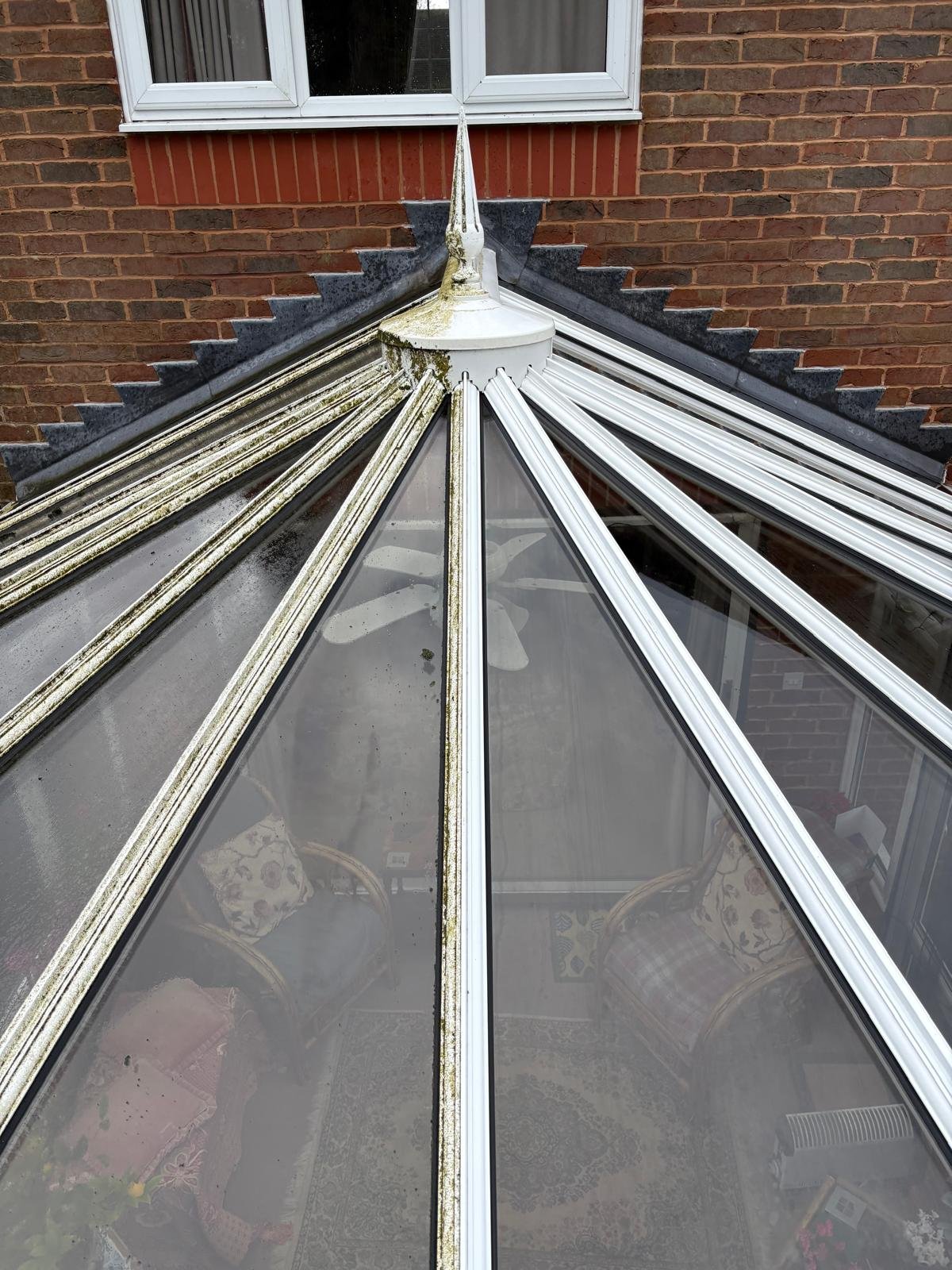 A close-up of a glass conservatory roof with metal framing, some of which is covered in moss and dirt, attached to a brick house with a window above.