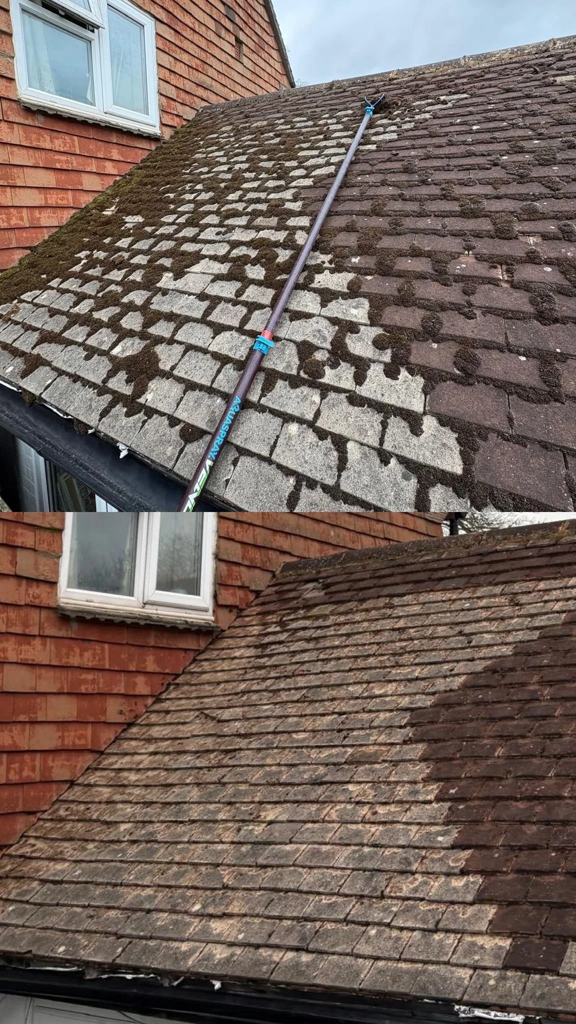 WhatsApp Image 2026-03-26 at 14.13.41 (5).jpeg