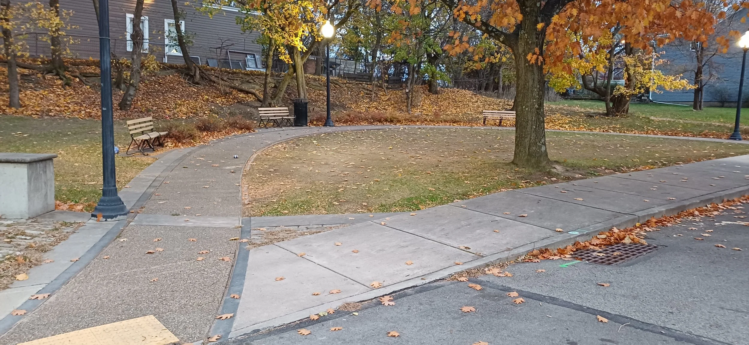 A small park with a curved paved walkway, benches, and a large tree with orange autumn leaves, surrounded by fallen leaves on the ground and nearby sidewalk.