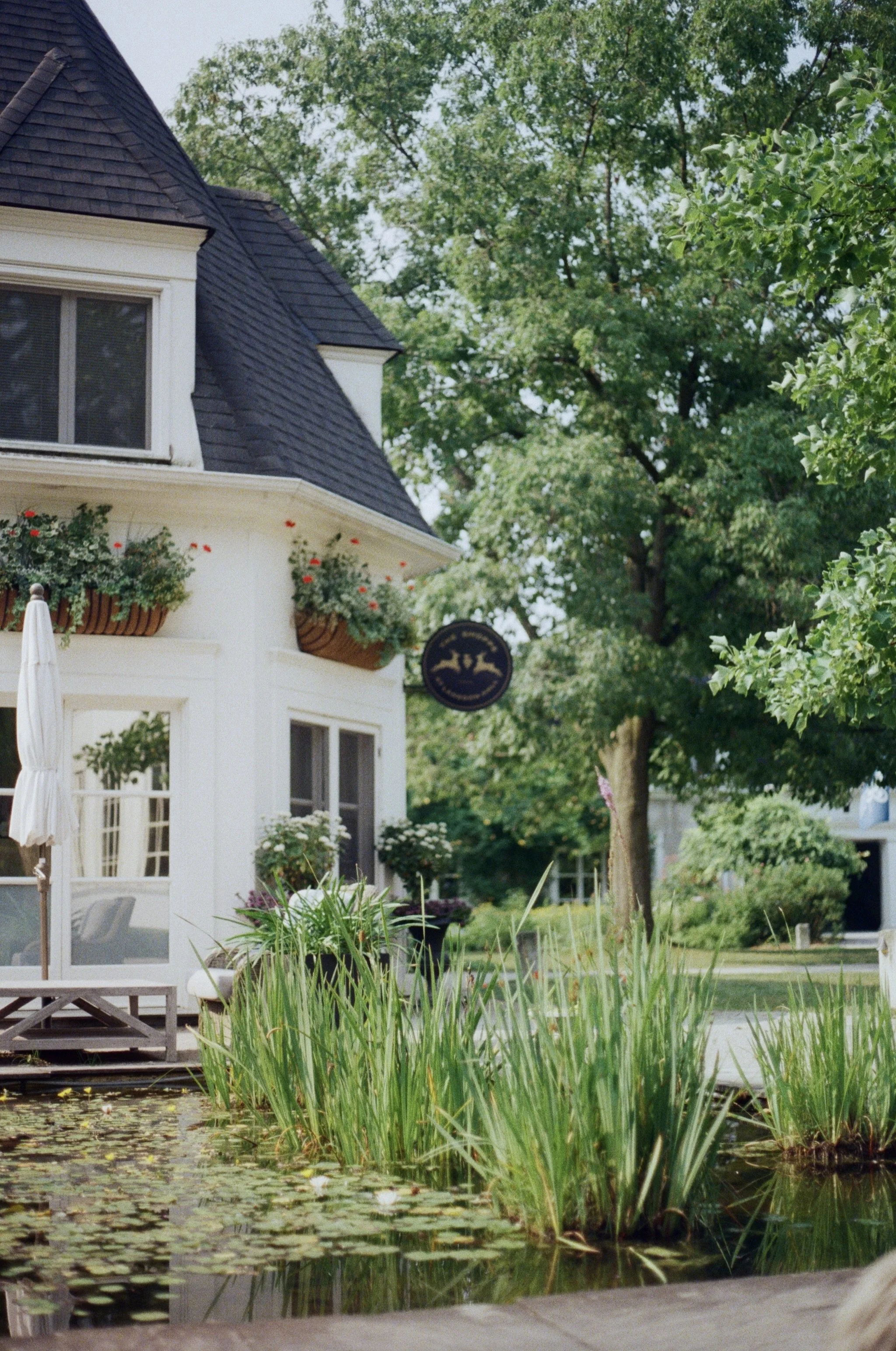 A white house with a dark shingled roof, flower boxes, a sign hanging on the side, and surrounded by trees and a pond with aquatic plants.