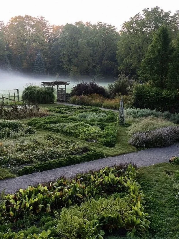 A lush garden with a gravel pathway, green plants, bushes, and trees in the background, with a mist or fog over the landscape.