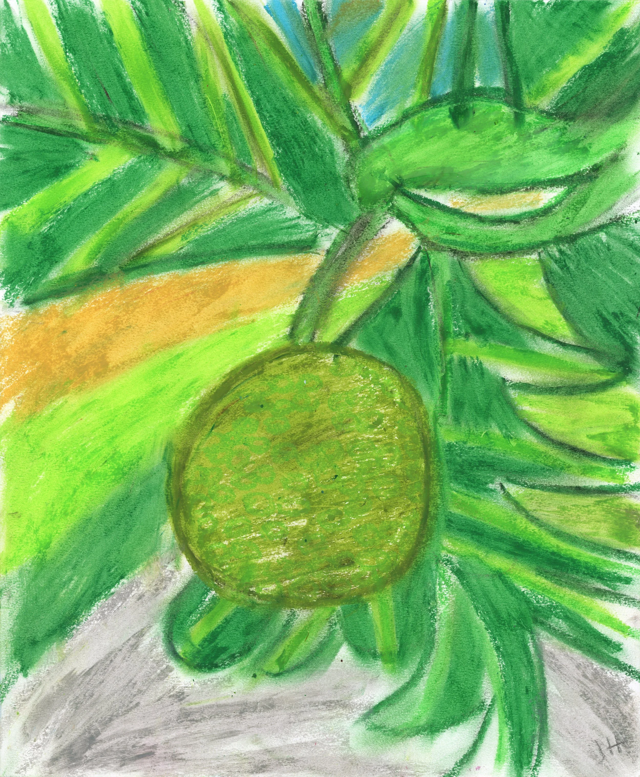 Breadfruit 1 - $375 (14 x 17) 