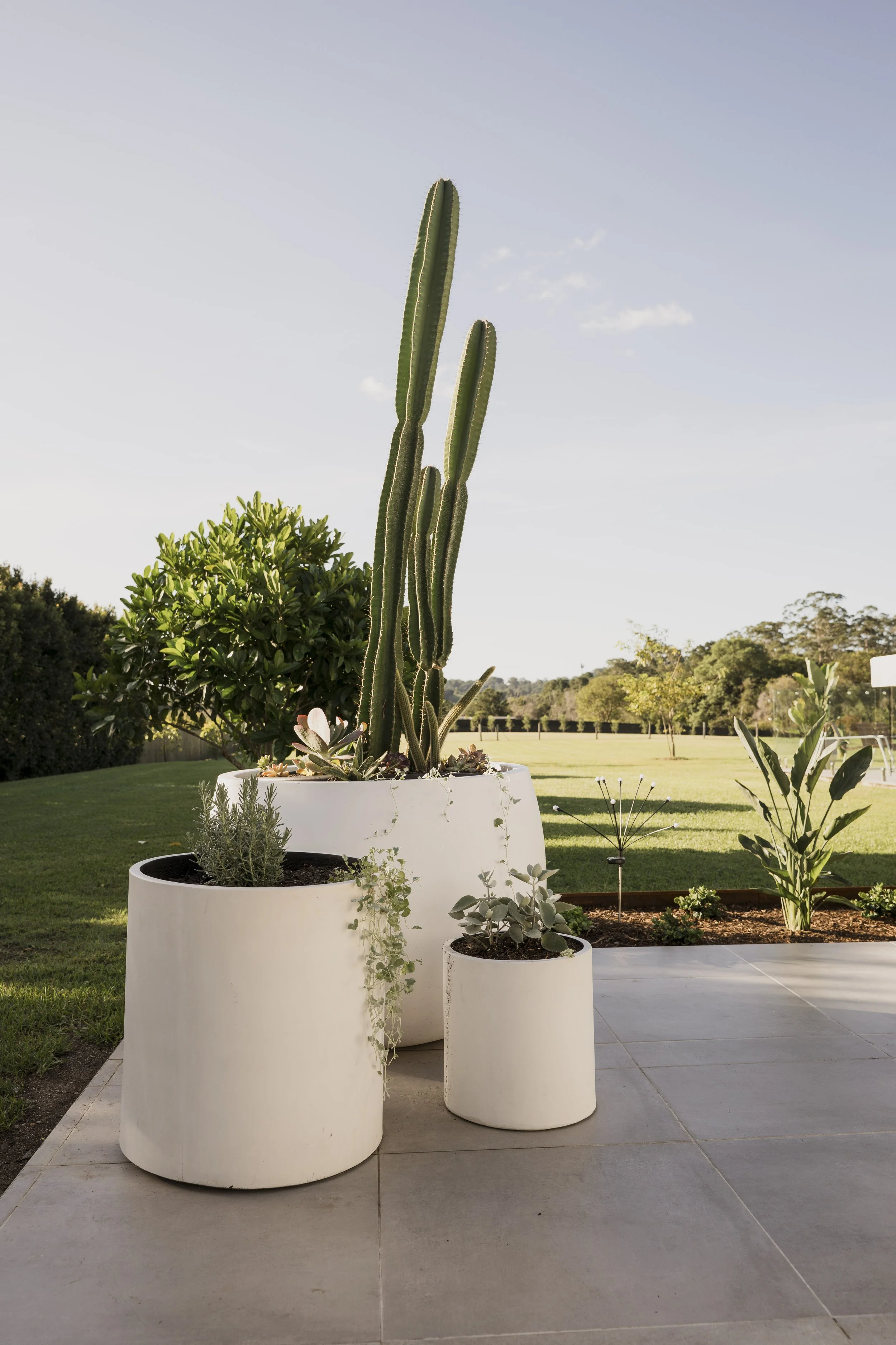 Woombye-22.jpg