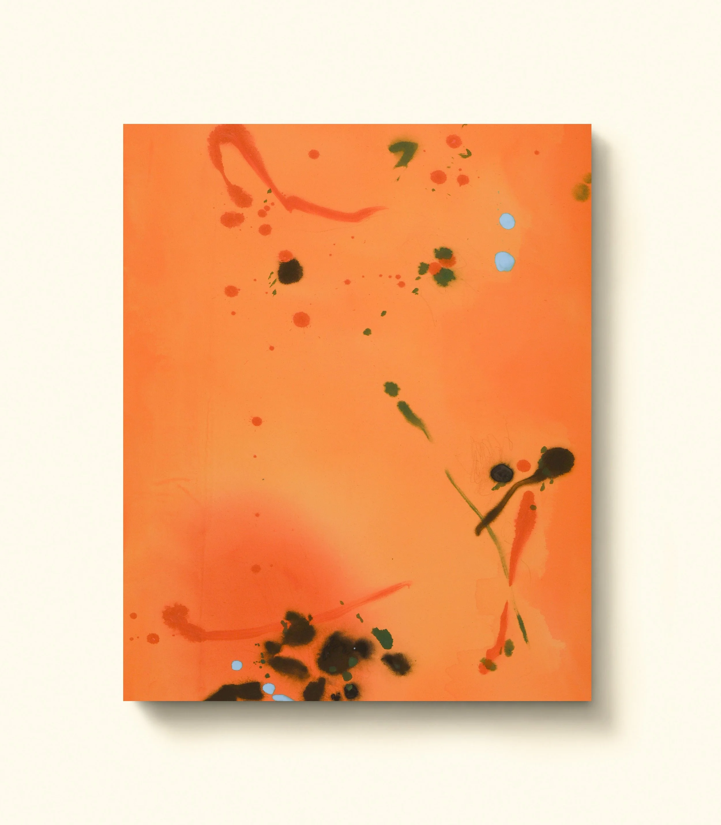 ' tomato / te mato #1 '