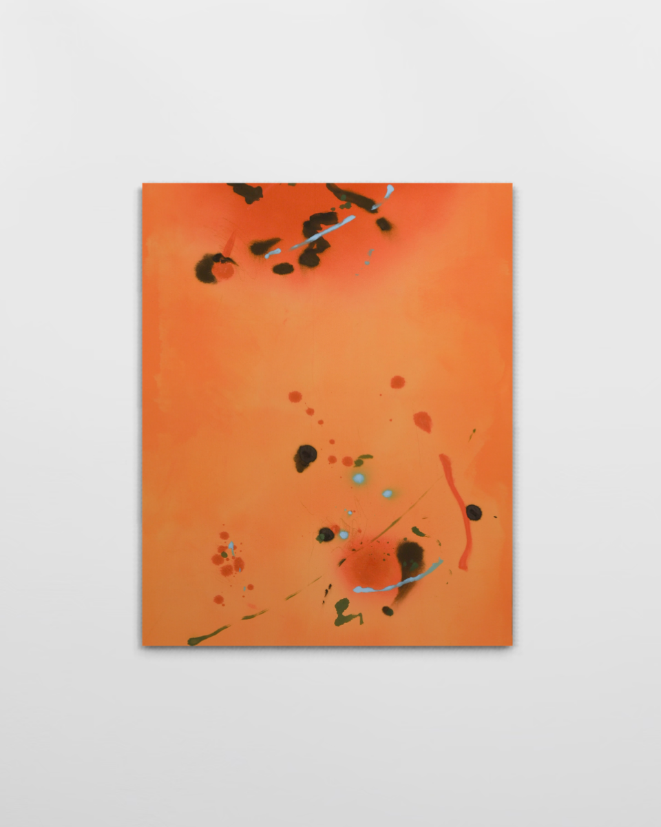 ' tomato / te mato v2 '