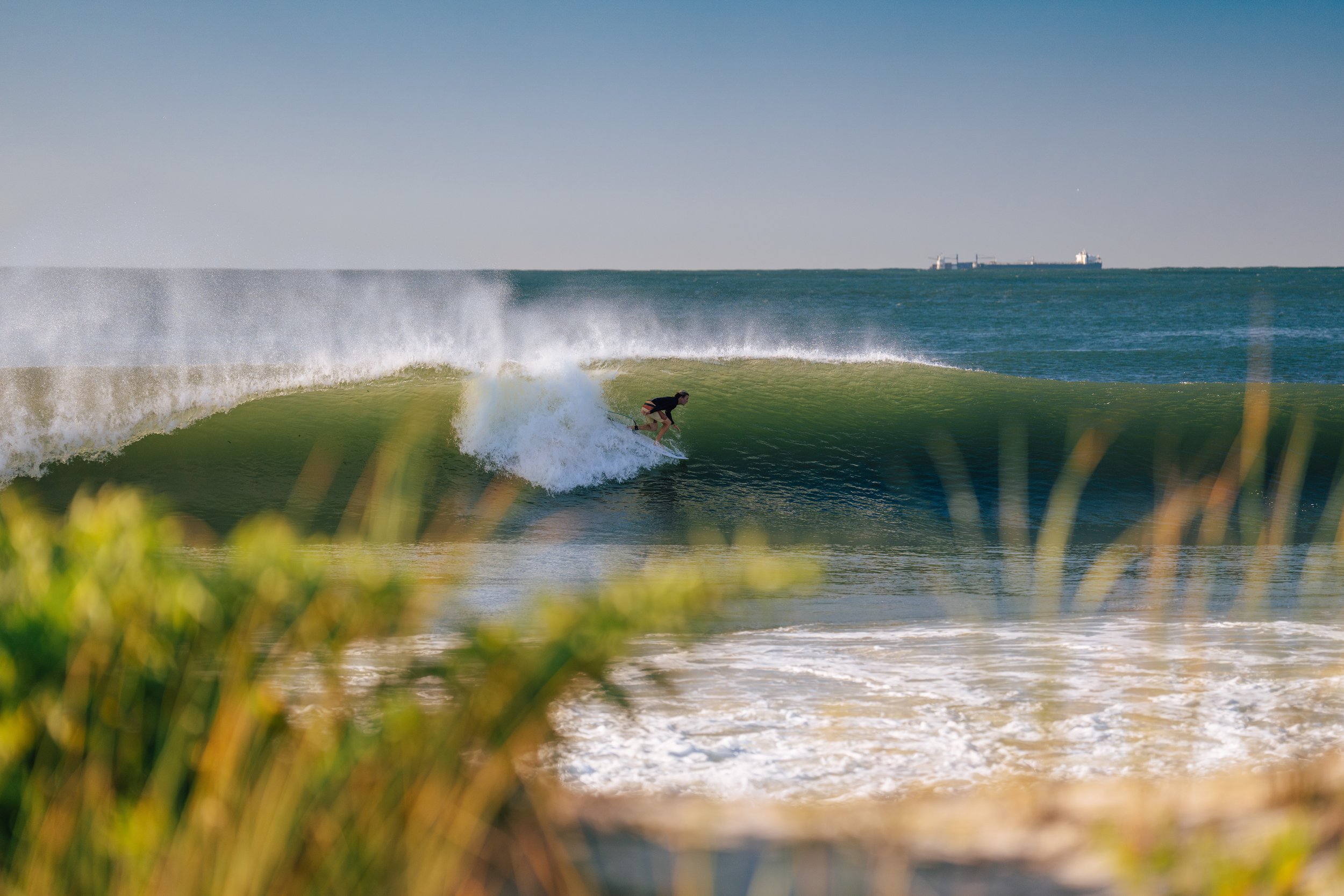 A person surfing on a large wave in the ocean, with a ship visible on the horizon and some plants in the foreground.