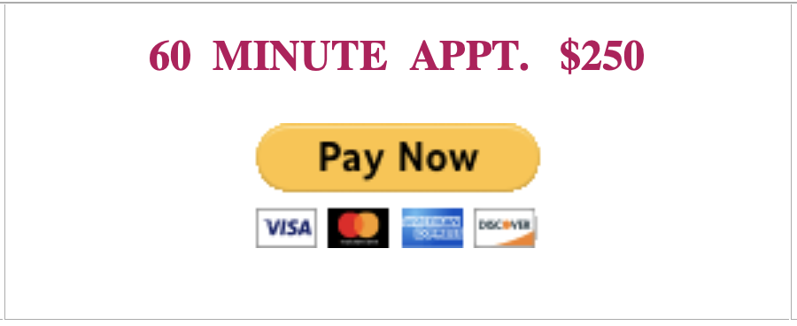 Advertisement for a 60-minute appointment costing $250 with a yellow 'Pay Now' button and icons for Visa, MasterCard, American Express, and Discover.
