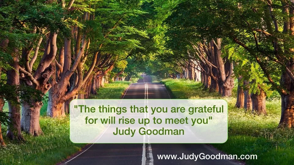 A peaceful road surrounded by green trees on both sides, with sunlight filtering through the leaves.