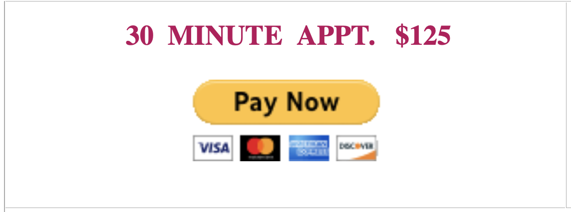 Pricing offer of $125 for a 30-minute appointment with a 'Pay Now' button and accepted payment icons for VISA, Mastercard, Discover, and American Express.