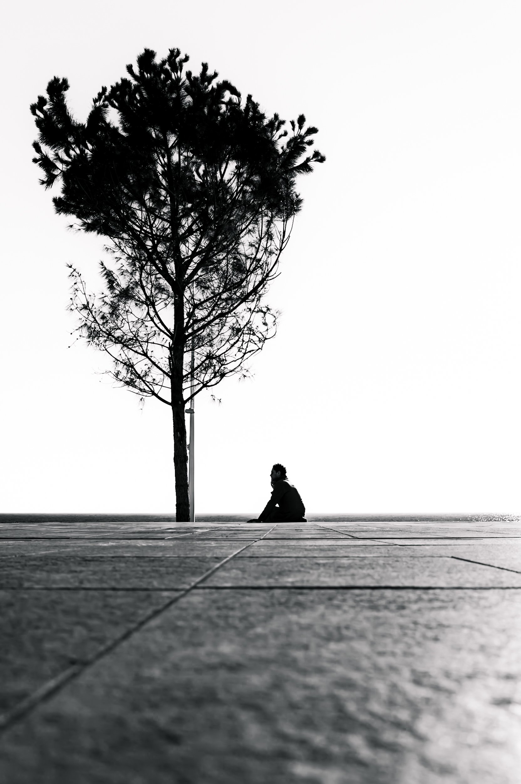 L1000458.JPG