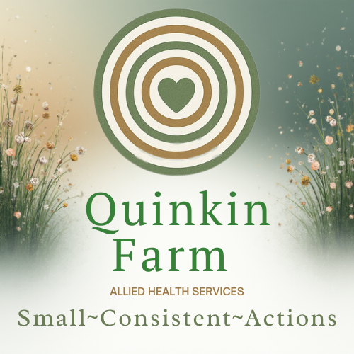 Logo for Quinkin Farm by Allied Health Services featuring a target with a heart at the center, surrounded by flowers and grass, with the tagline 'Small~Consistent~Actions'.
